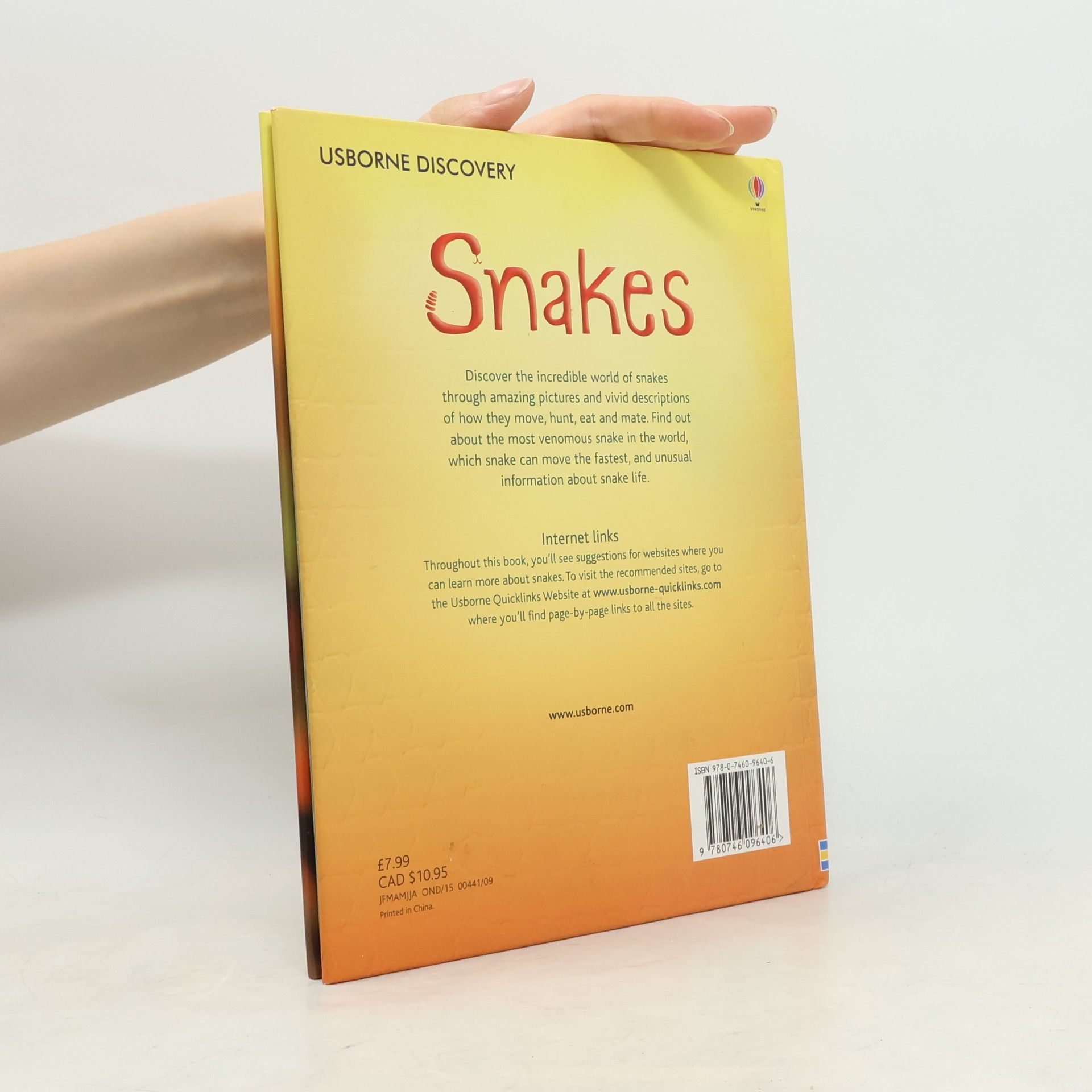 Rachel Firth Snakes