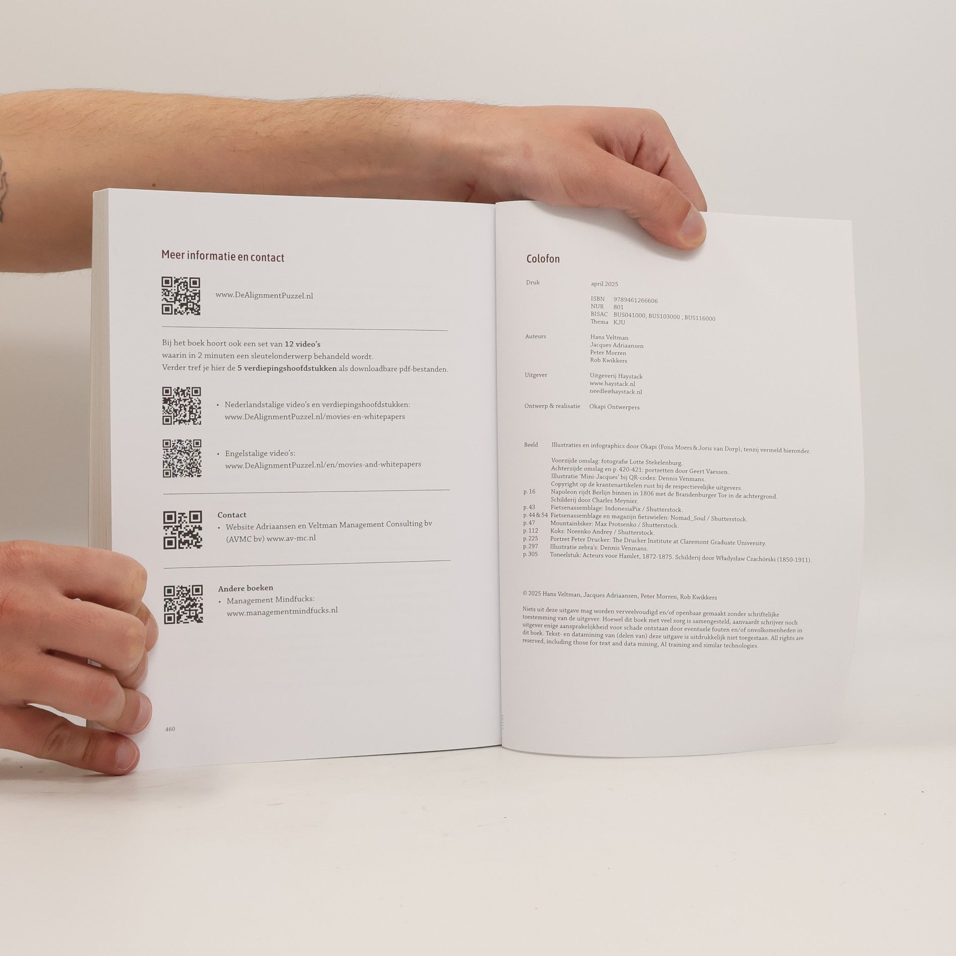 Hans Veltman De Alignment Puzzel