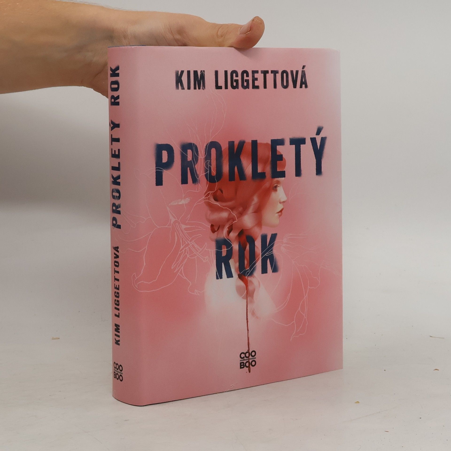 Kim Liggett Prokletý rok