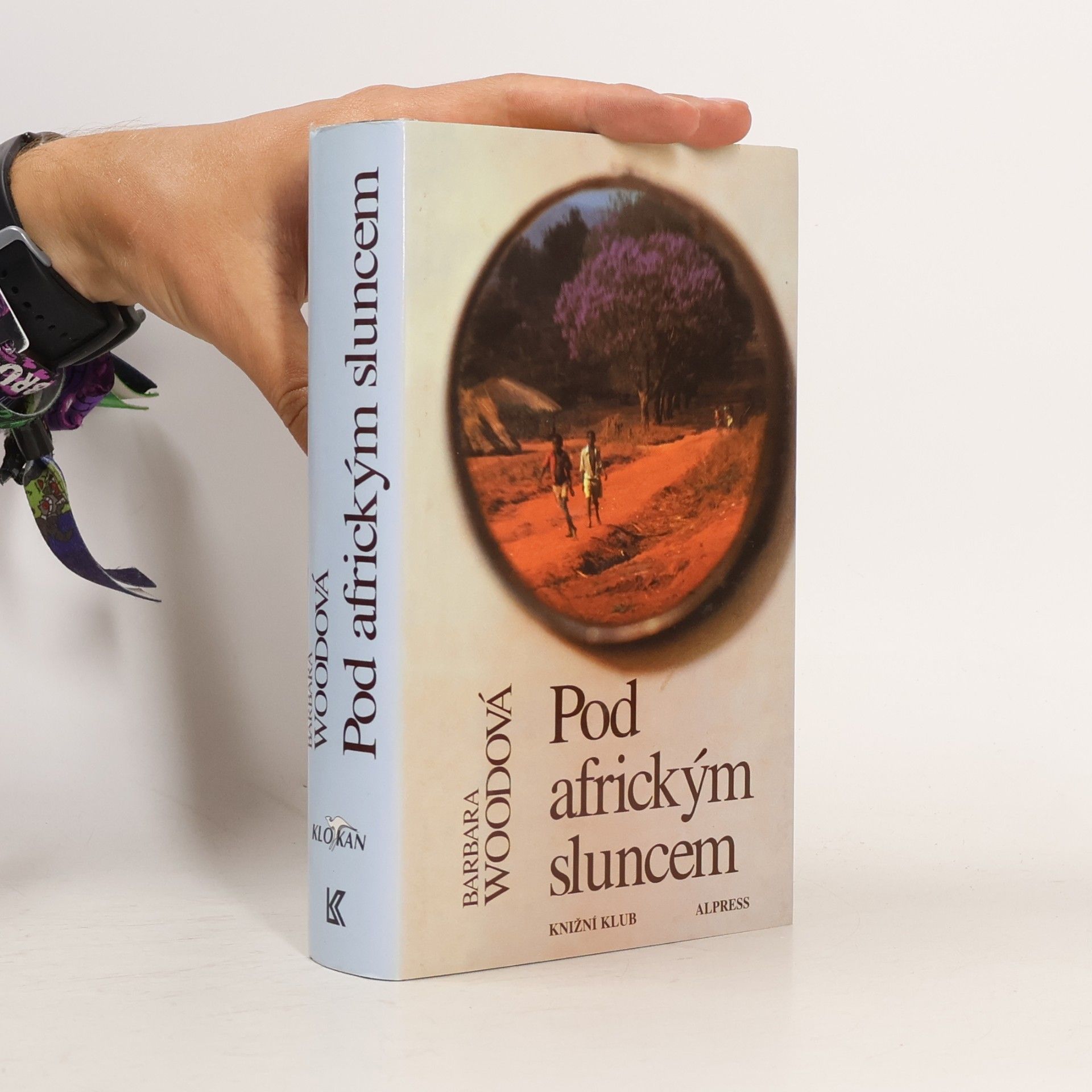 Barbara Wood Pod africkým sluncem