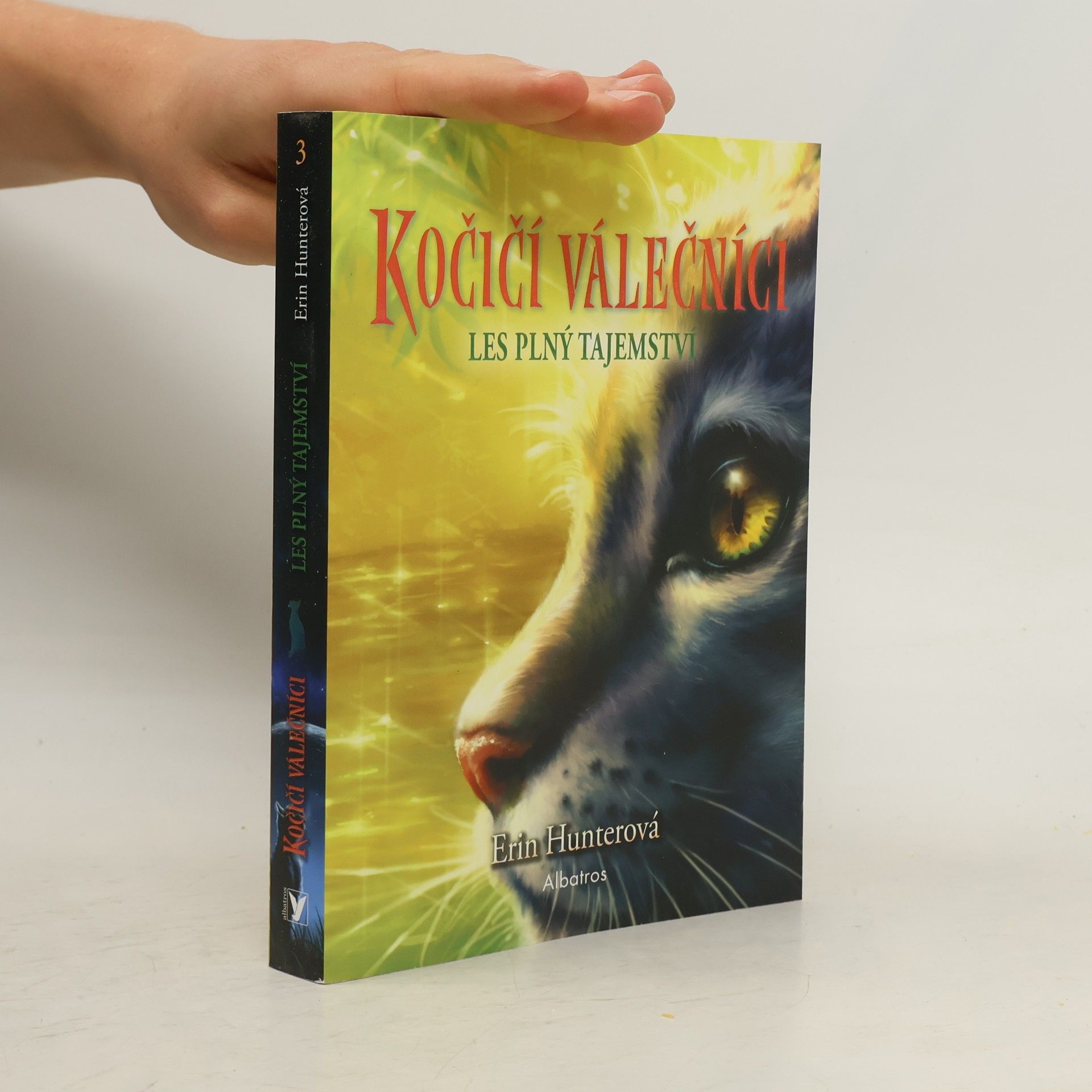 Kočičí válečníci