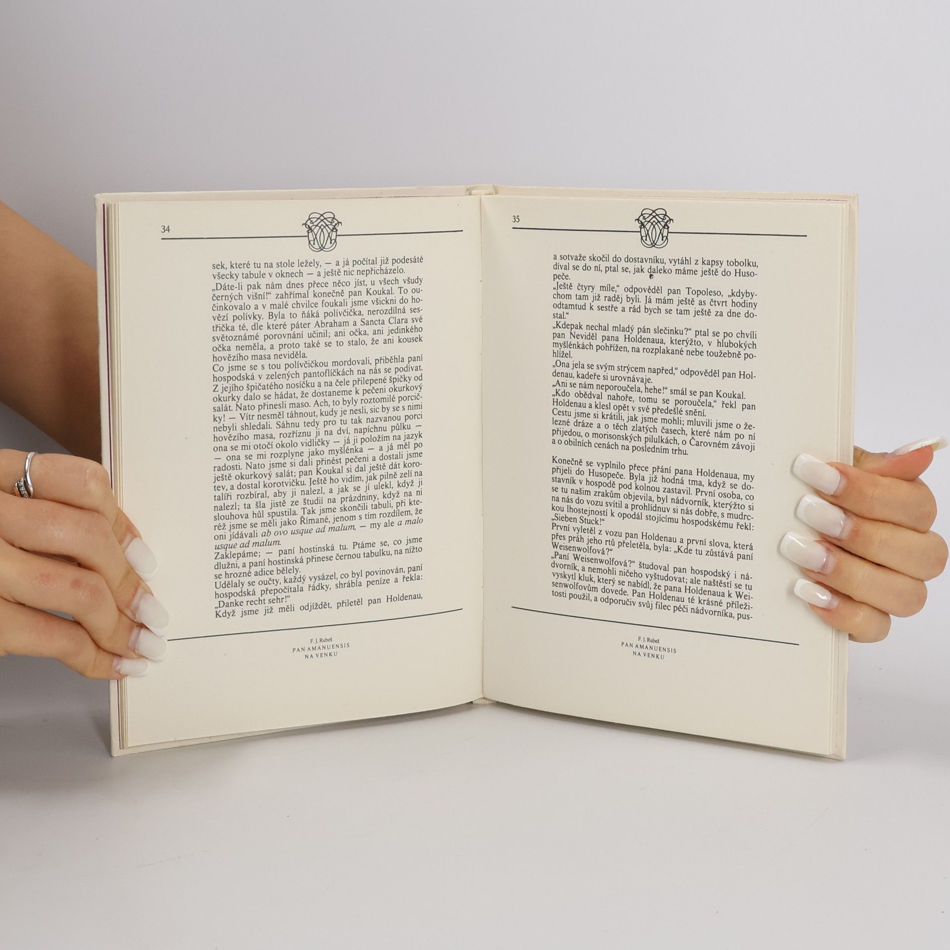 František Jaromír Rubeš Pan Amanuensis na venku