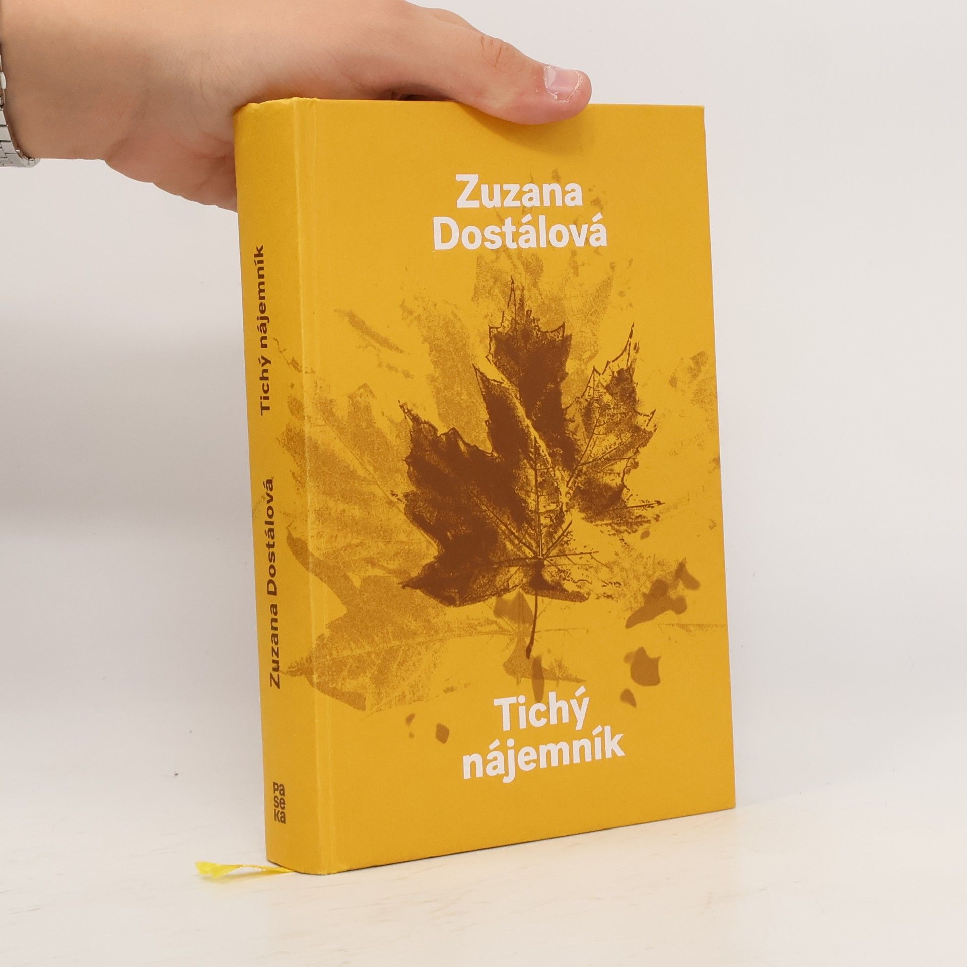 Zuzana Dostálová Tichý nájemník