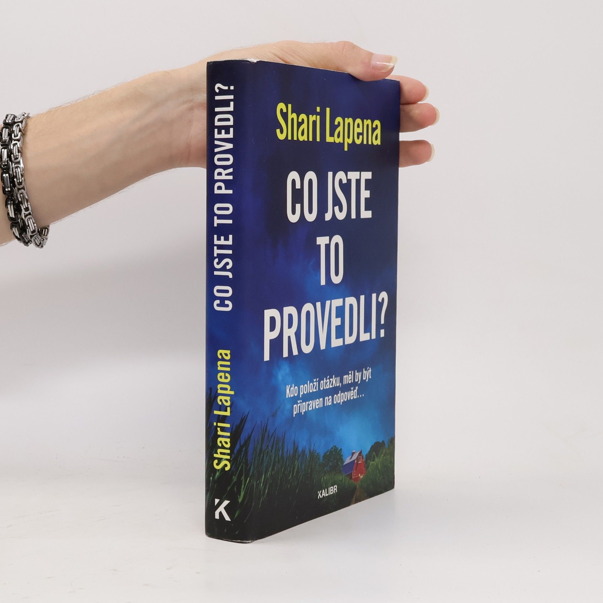 Shari Lapena Co jste to provedli?