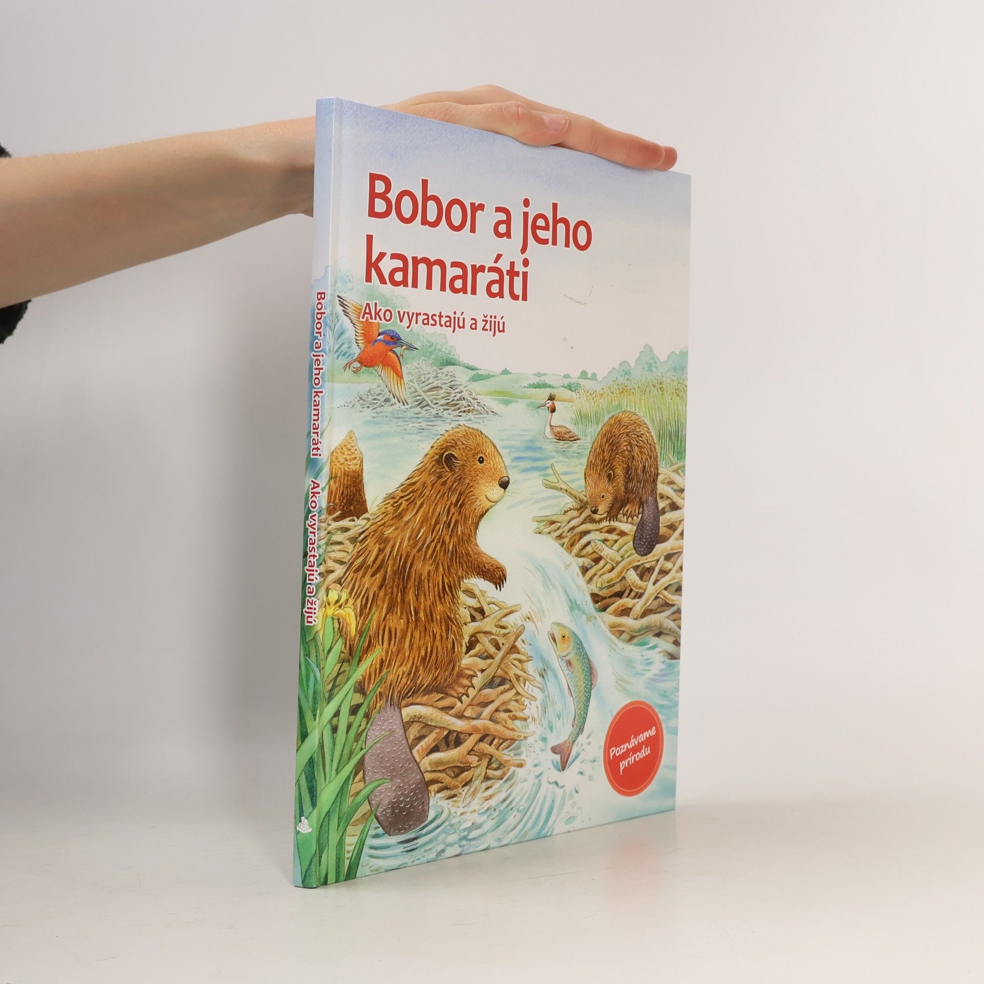 Autorenkollektiv Bobor a jeho kamaráti