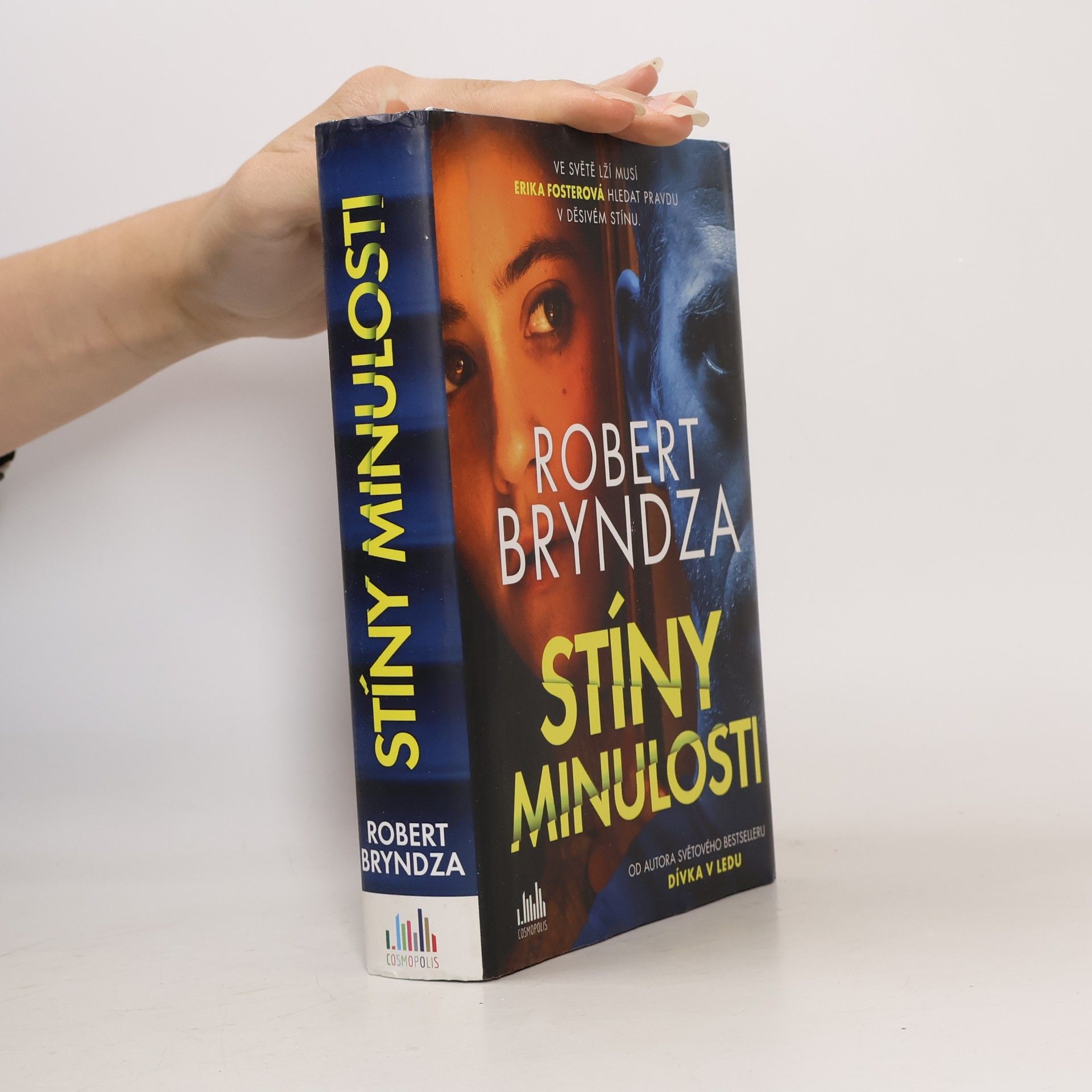 Robert Bryndza Stíny minulosti