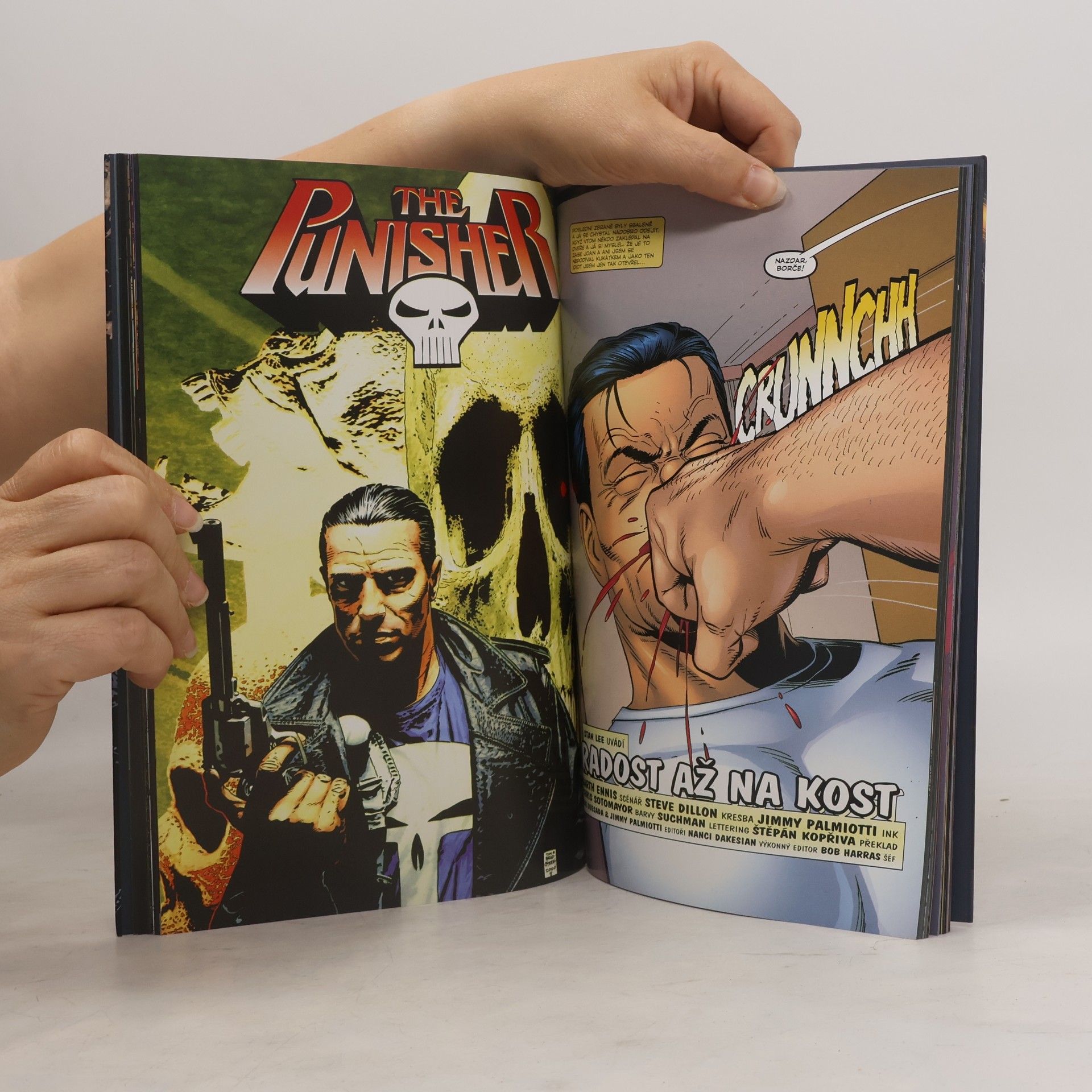 Garth Ennis The Punisher 2