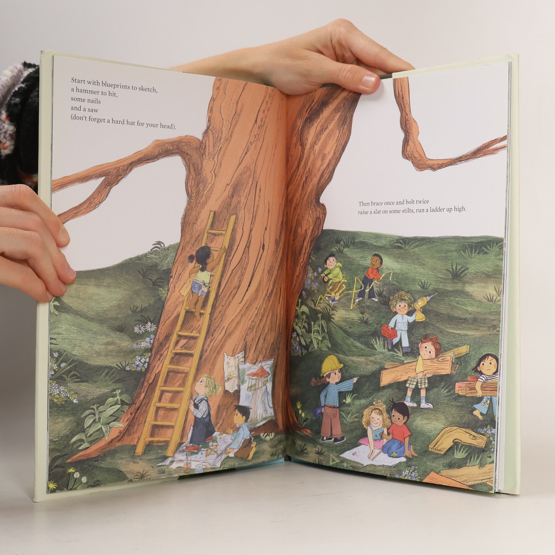 Carter Higgins Everything You Need for a Treehouse
