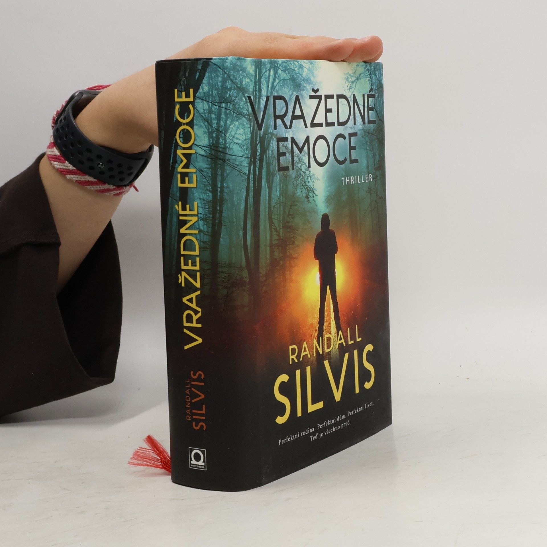 Randall Silvis Vražedné emoce