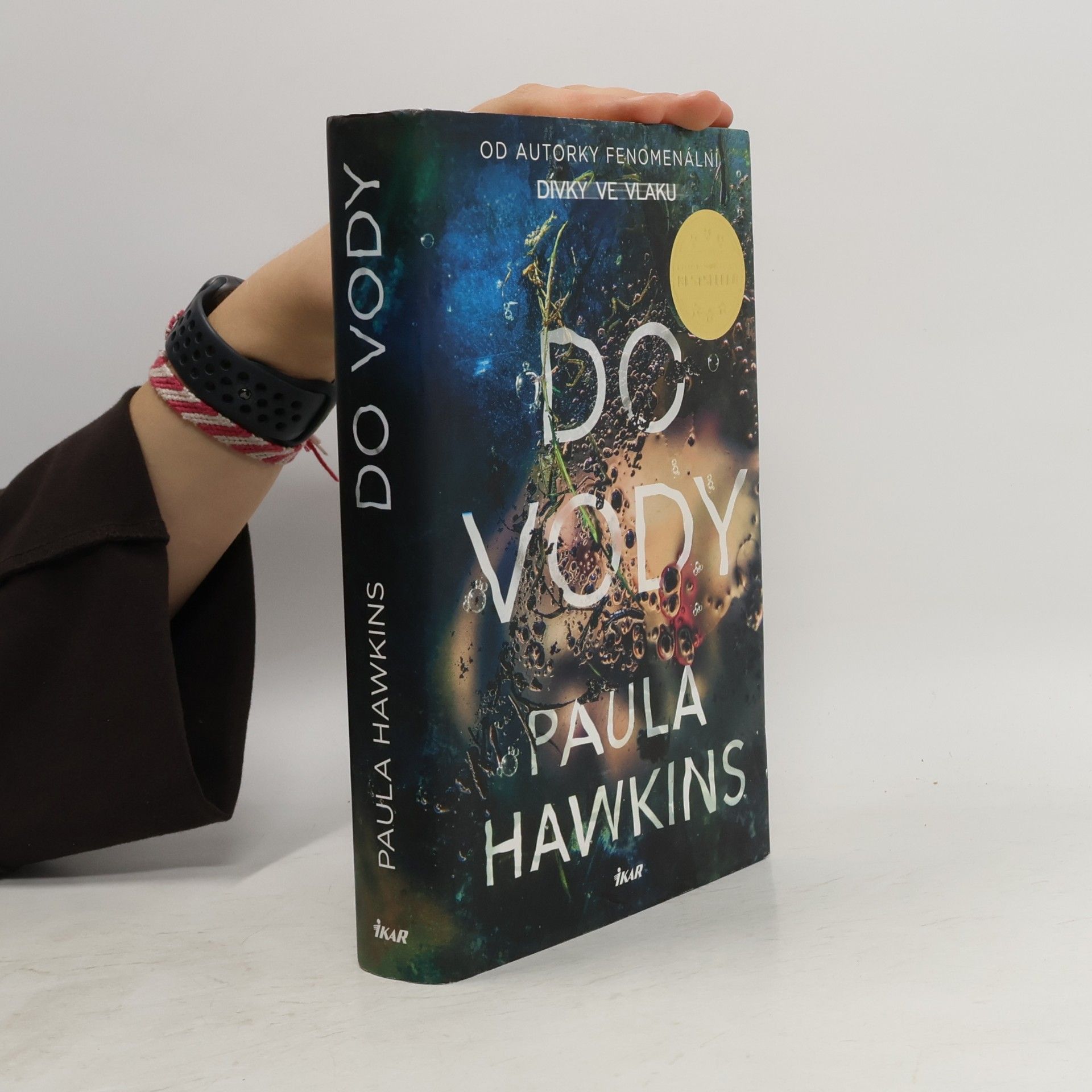 Paula Hawkinsová Do vody