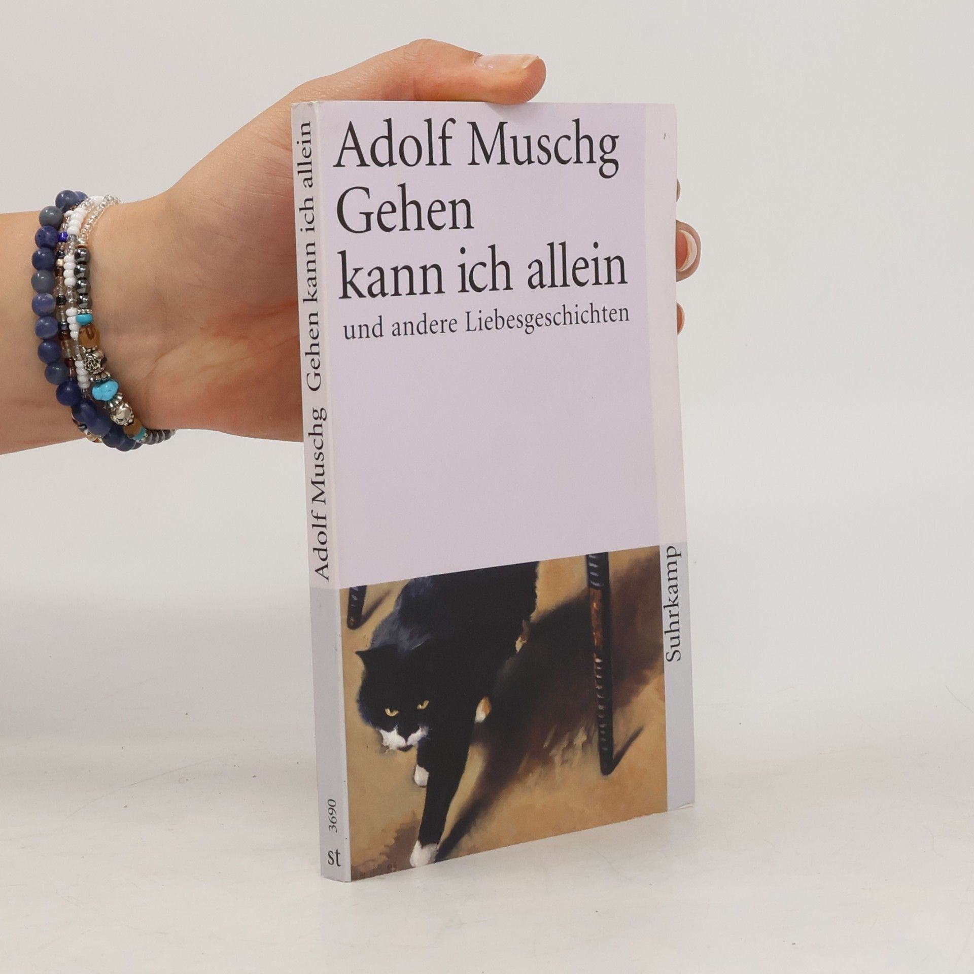 Suhrkamp Taschenbuch: Gehen kann ich allein und andere Liebesgeschichten