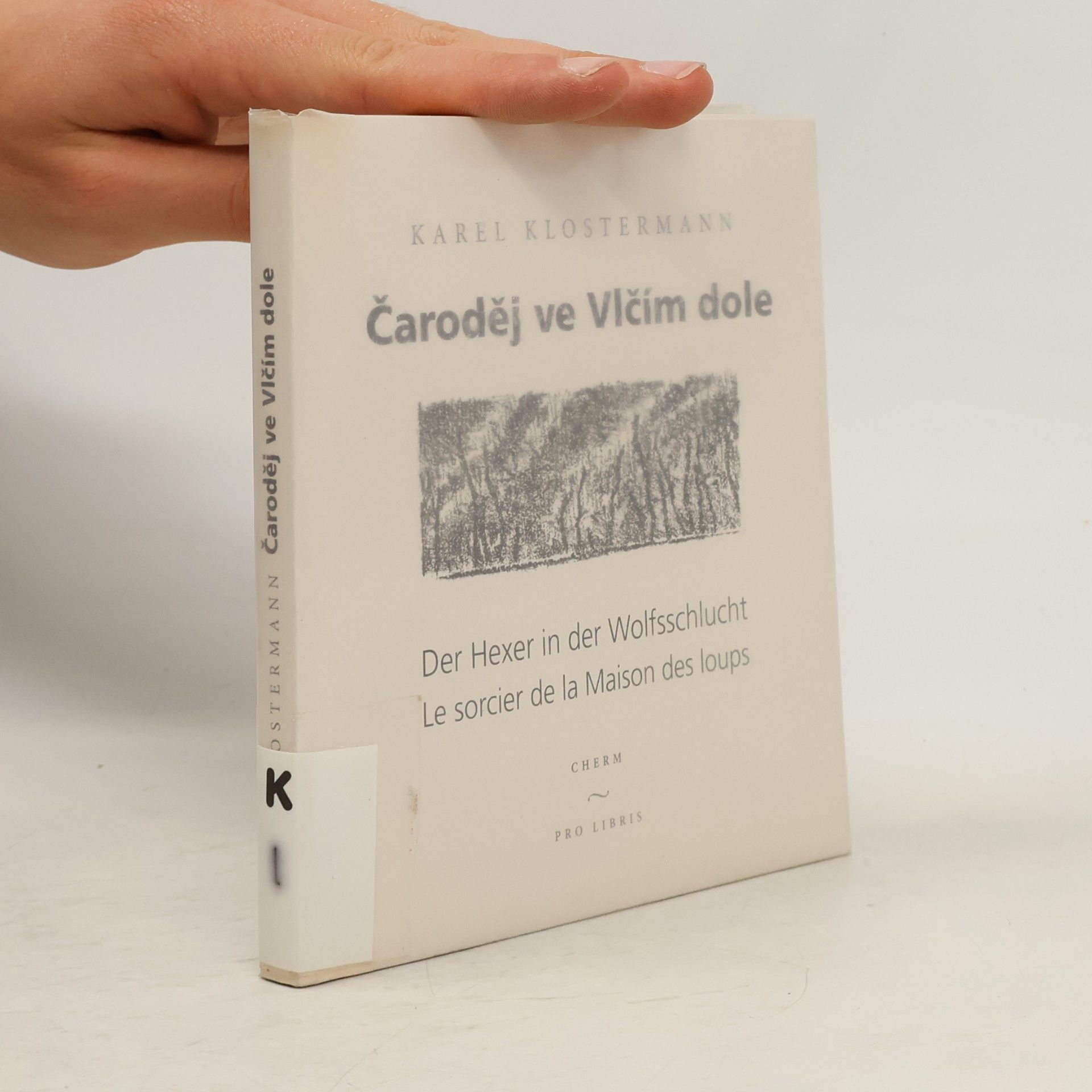Karel Klostermann Čaroděj ve vlčím dole