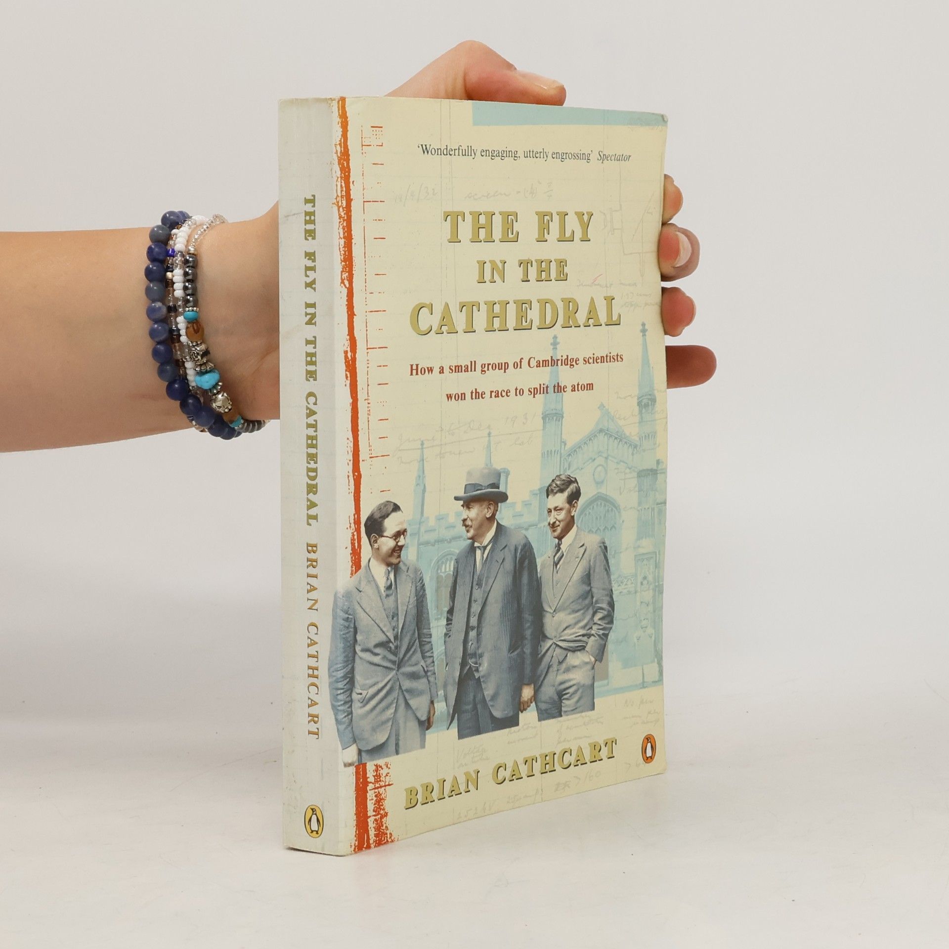 Brian Cathcart Fly in the Cathedral