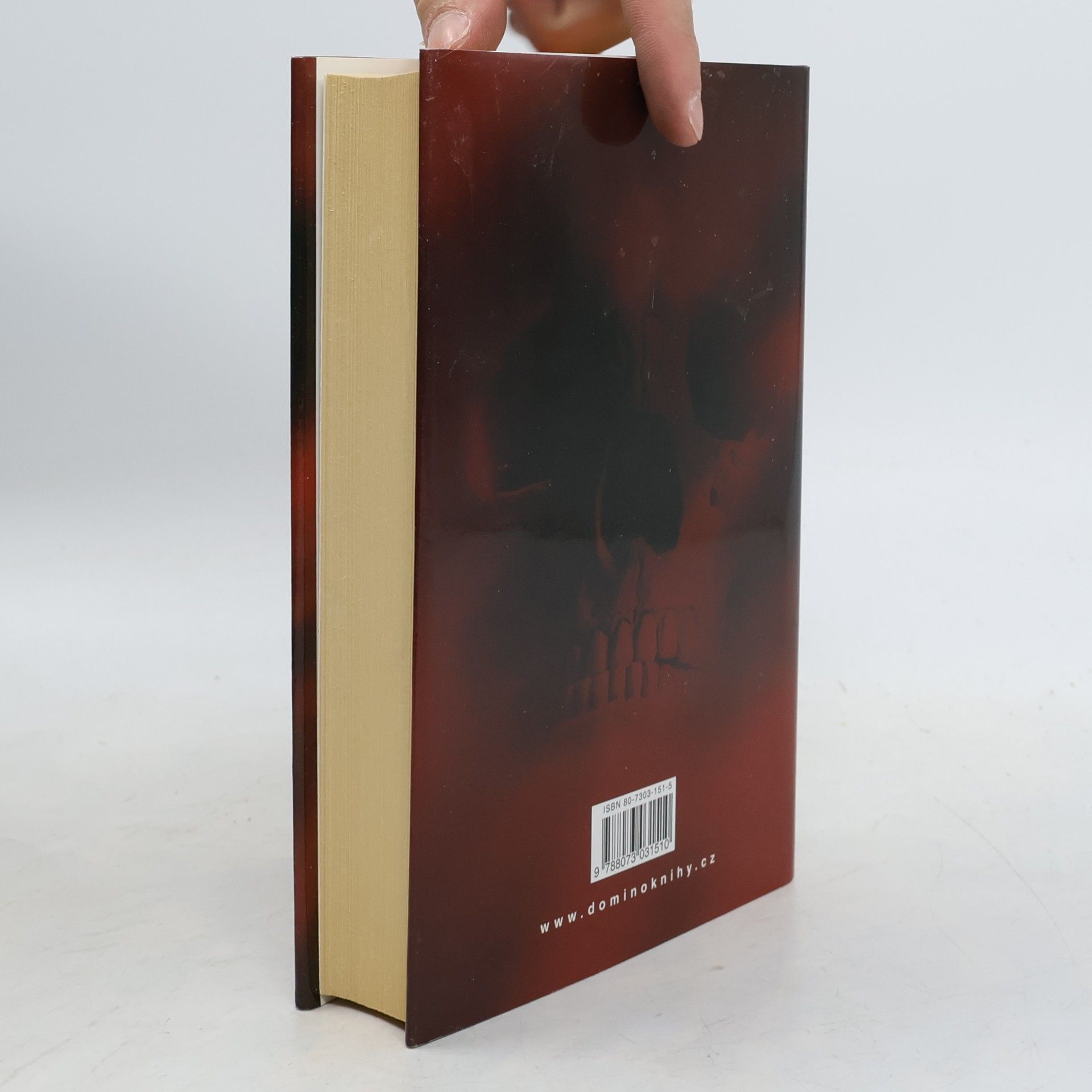Jeffery Deaver Iluze
