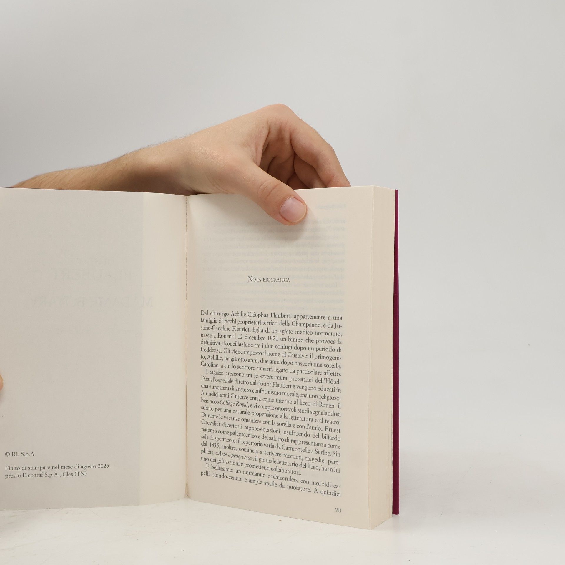 Gustave Flaubert Madame Bovary