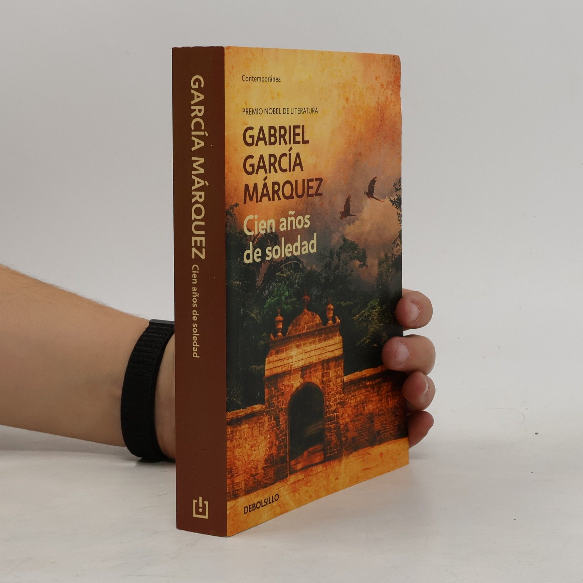Gabriel García Márquez Cien años de soledad