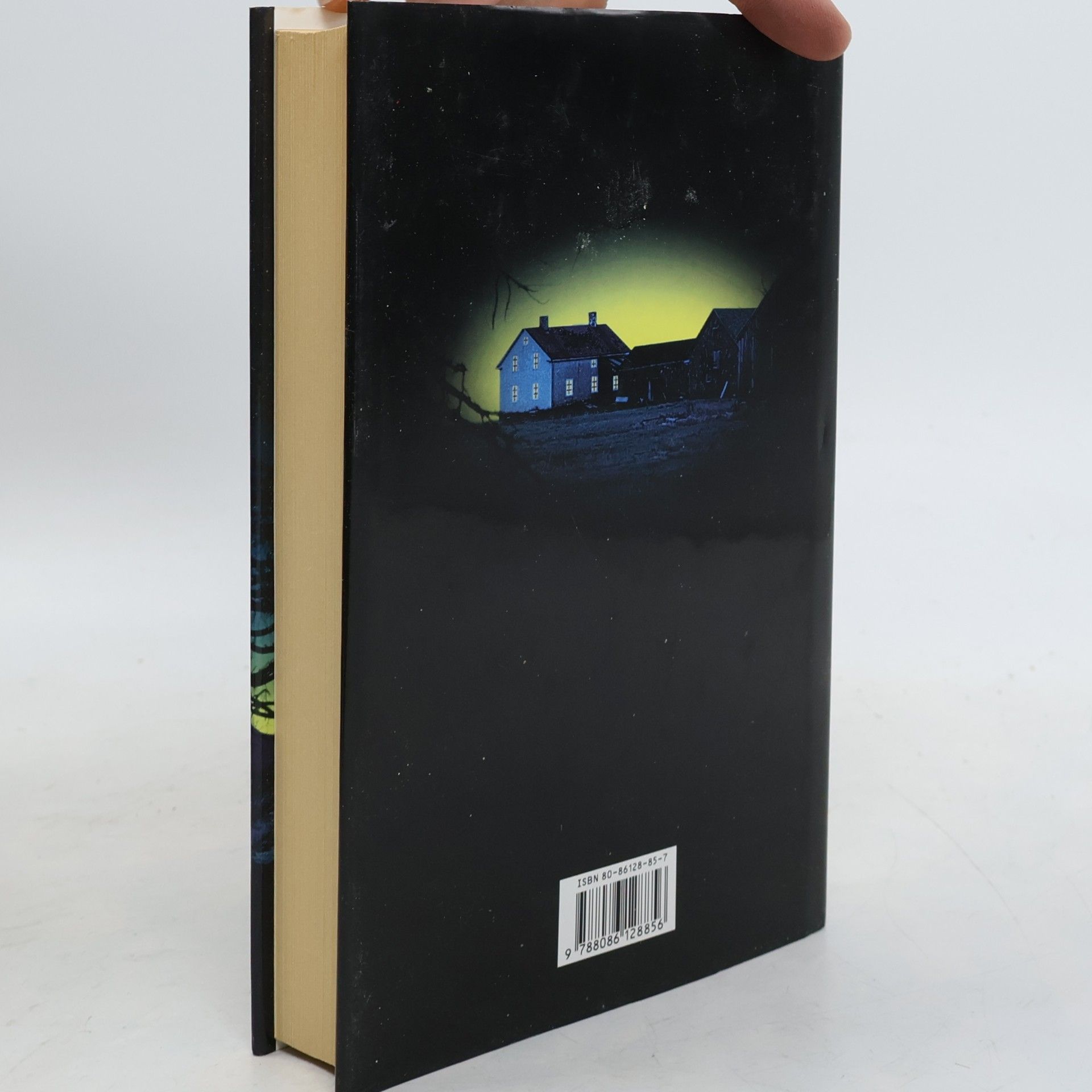 Jeffery Deaver Dívčí hrob