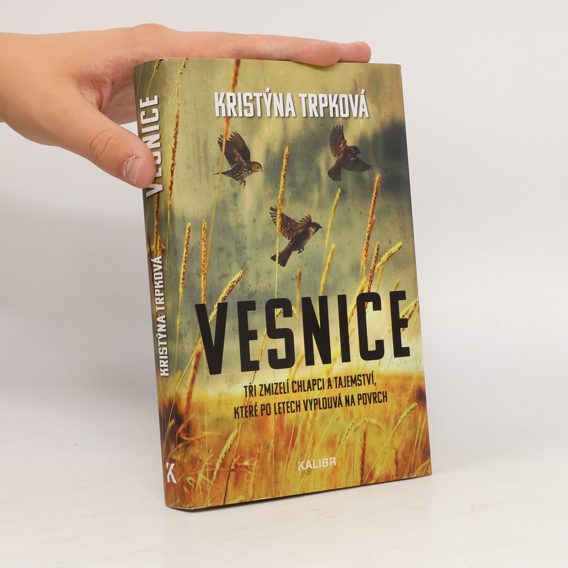 Kristýna Trpková Vesnice