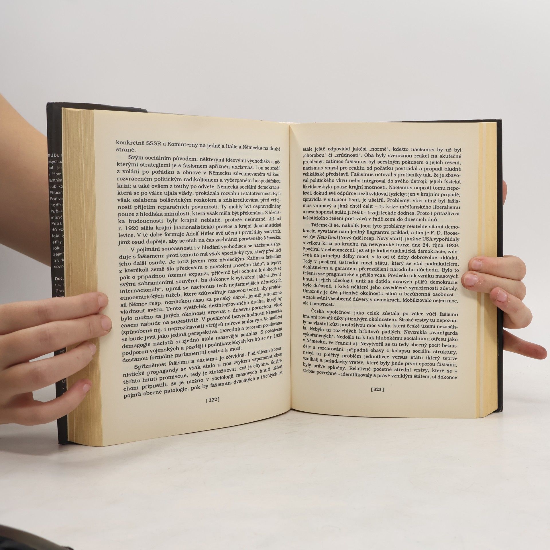 Autorenkollektiv Češi v dějinách nové doby (1848-1939)
