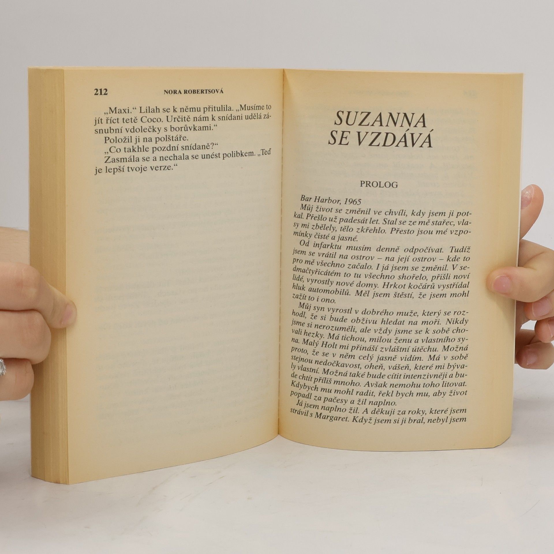 Nora Roberts Ztracený náhrdelník