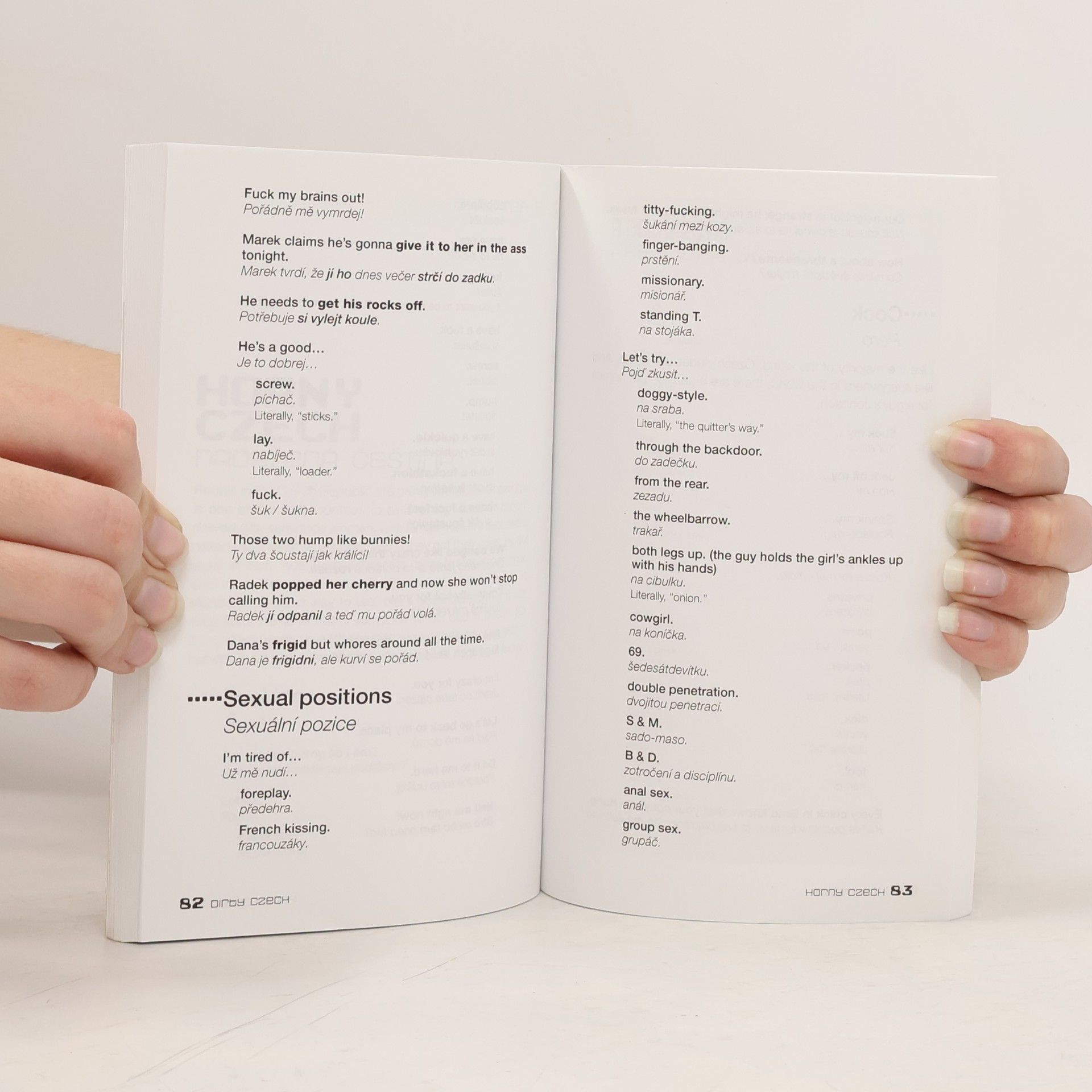 Martin Blaha D!rty Czech: Everyday slang from "what's up?" to "F*%# Off!"