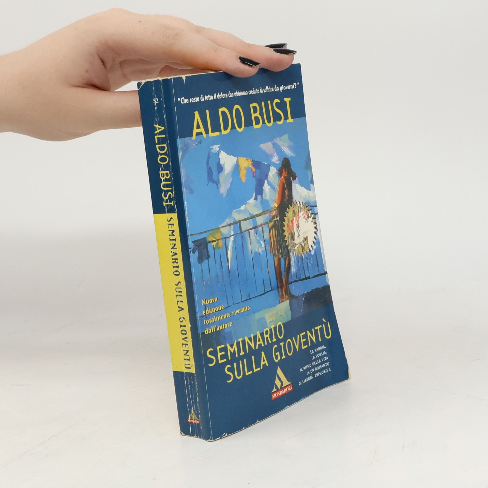 Aldo Busi Seminario sulla gioventù