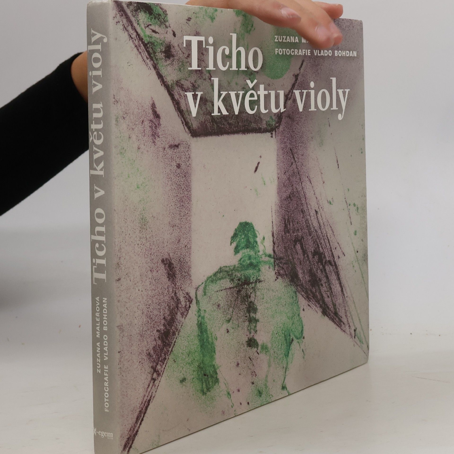Maléřová Zuzana Ticho v květu violy