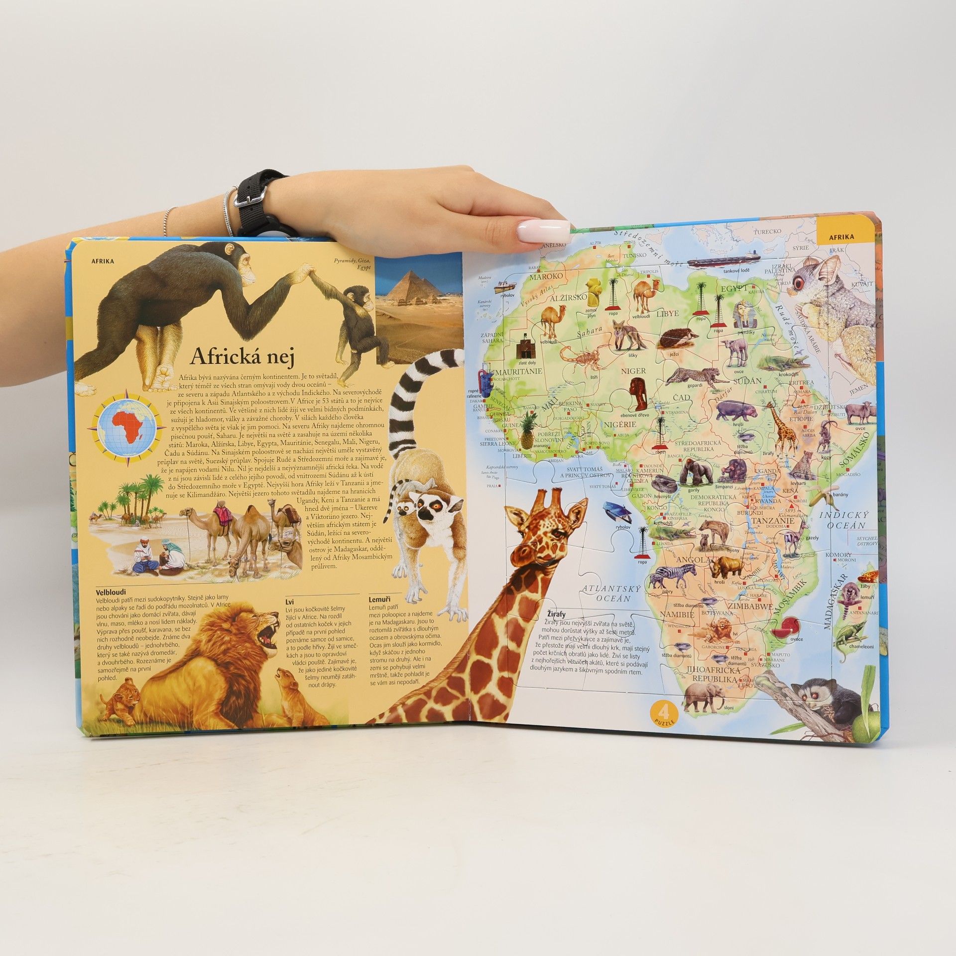 Karolína Schwarzová Školákův zeměpisný puzzle atlas : Evropa, Asie, Afrika, Amerika, Austrálie a Oceánie, polární oblasti