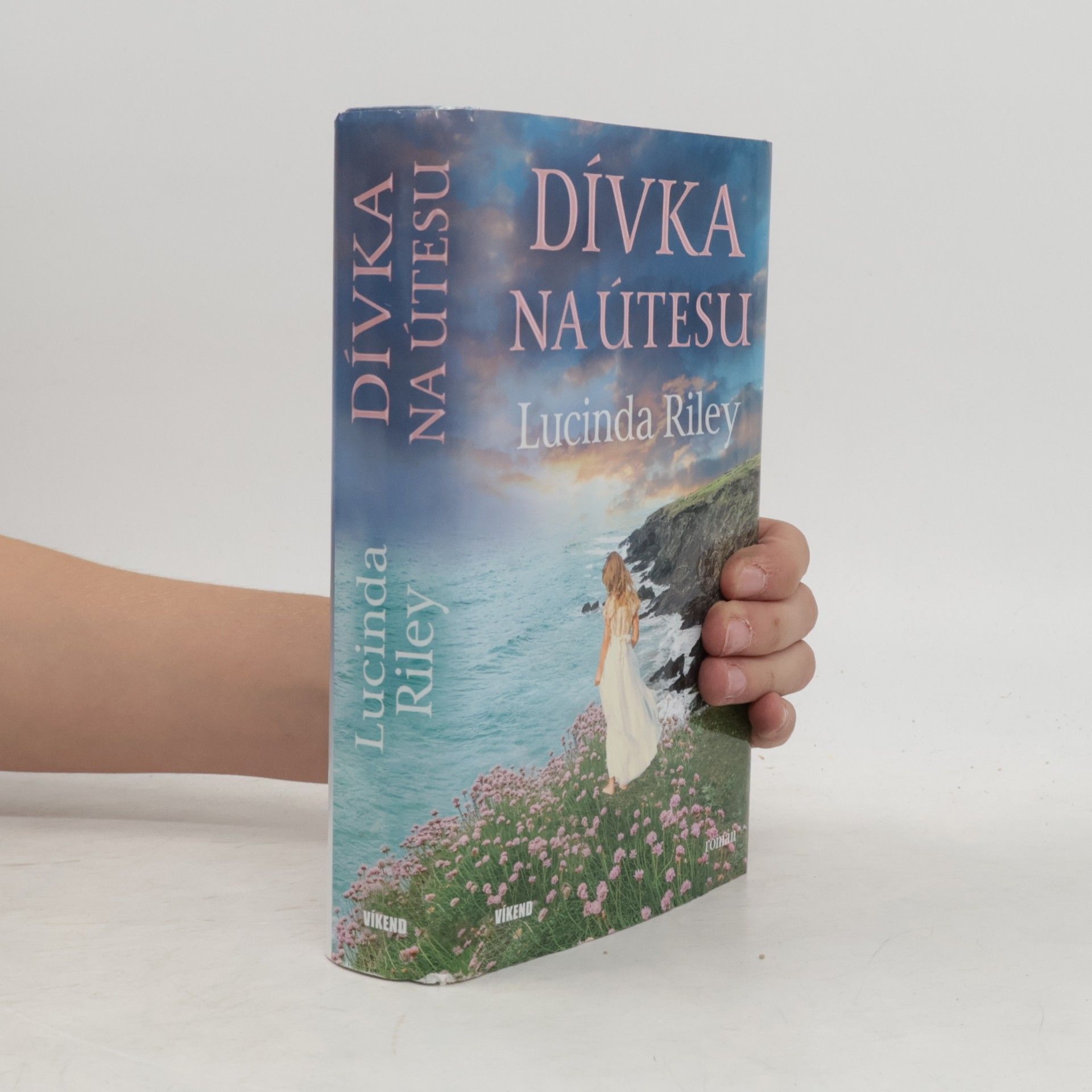 Lucinda Riley Dívka na útesu