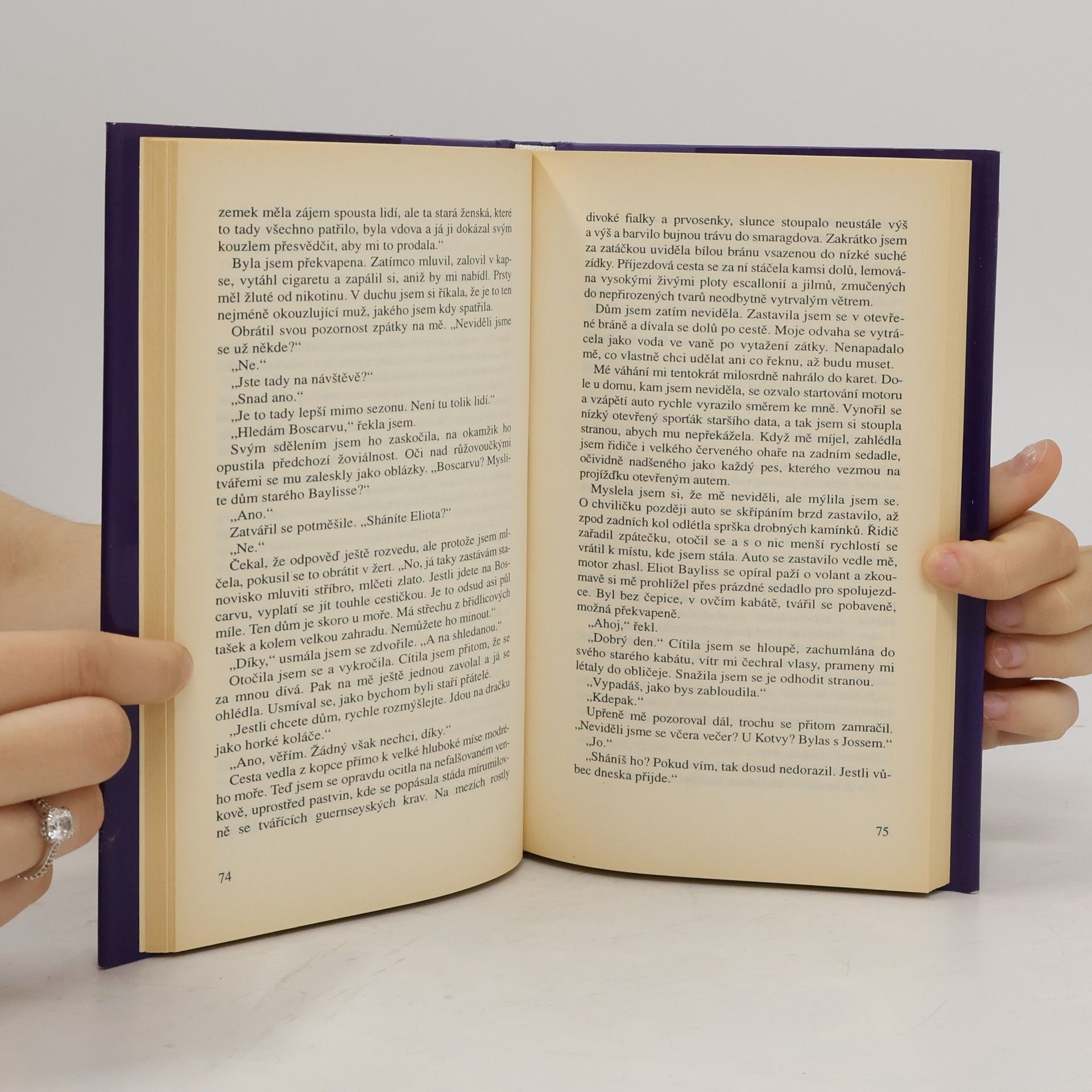 Rosamunde Pilcher Bouřlivé pobřeží