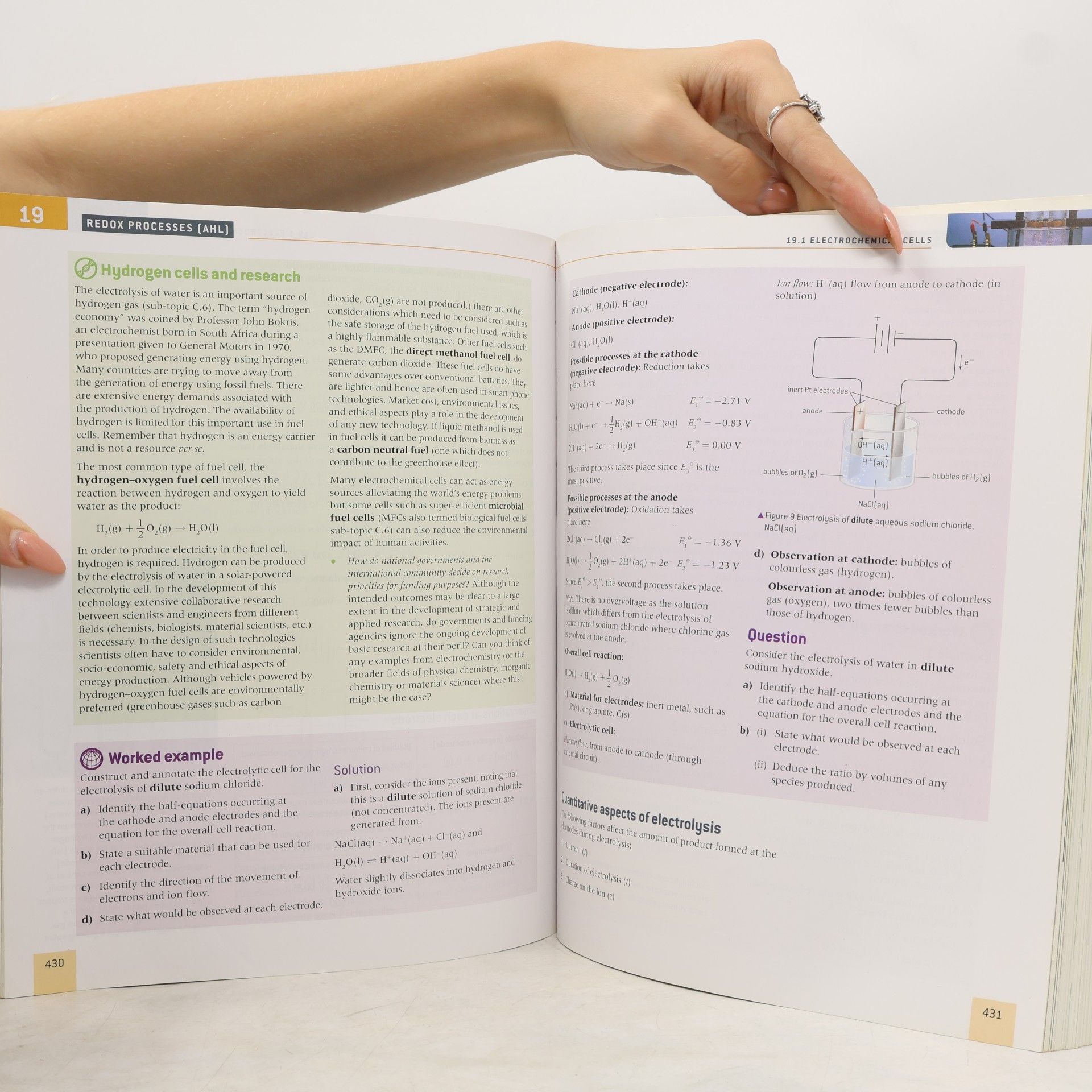 Sergej Jur jevič Bylikin Chemistry : course companion