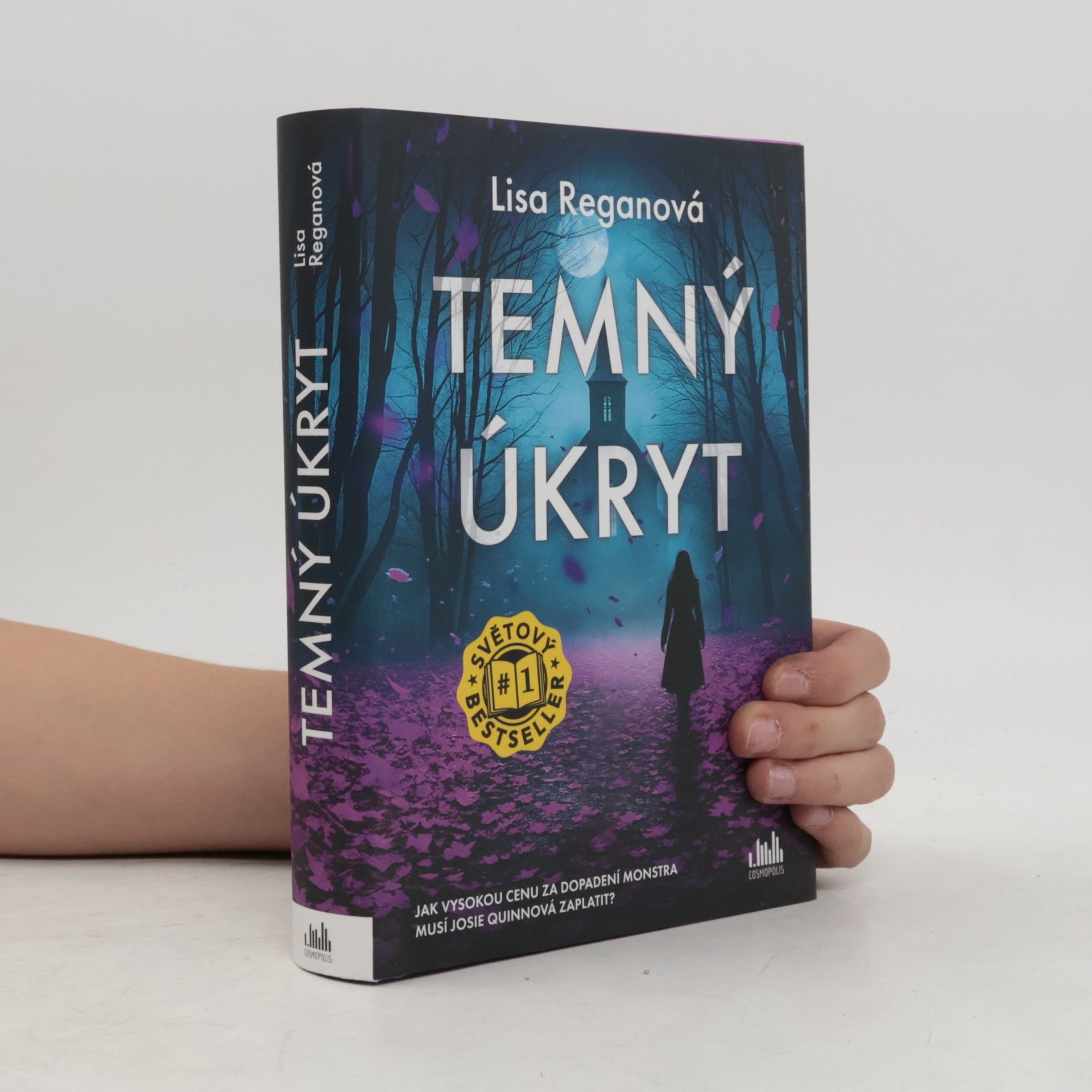 Lisa Regan Temný úkryt