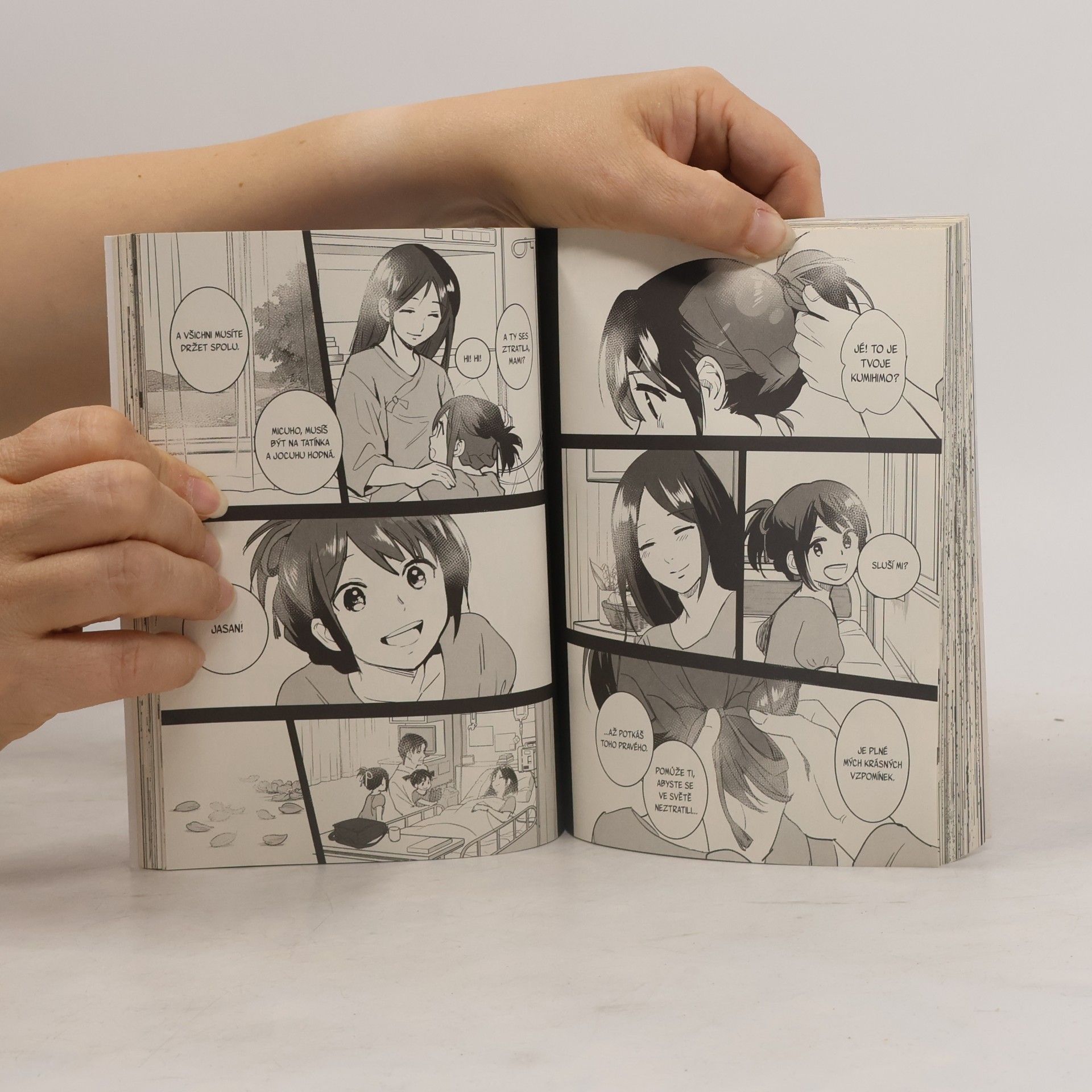 Makoto Shinkai To bylo tvé jméno. 02