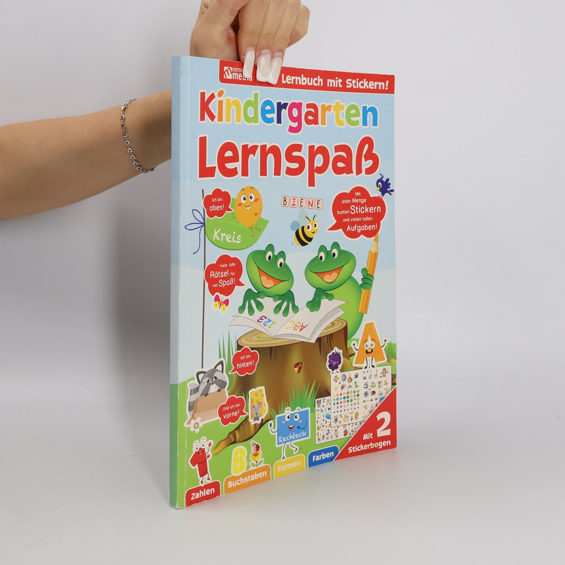 Autorenkollektiv Mein Lernbuch mit Stickern! Band 2: Kindergarten Lernspaß