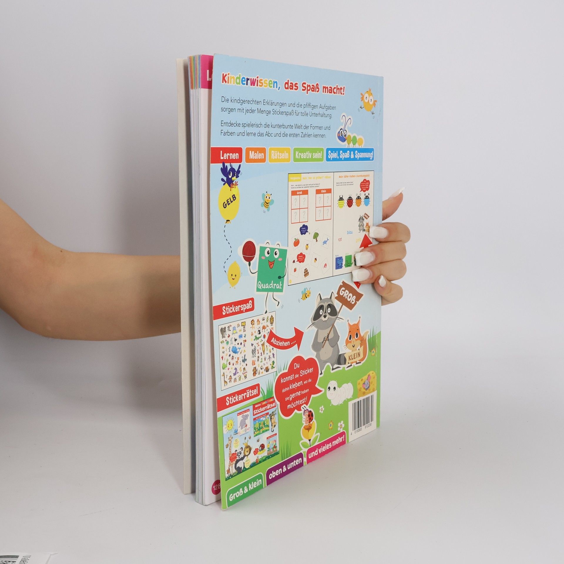 Autorenkollektiv Mein Lernbuch mit Stickern! Band 2: Kindergarten Lernspaß