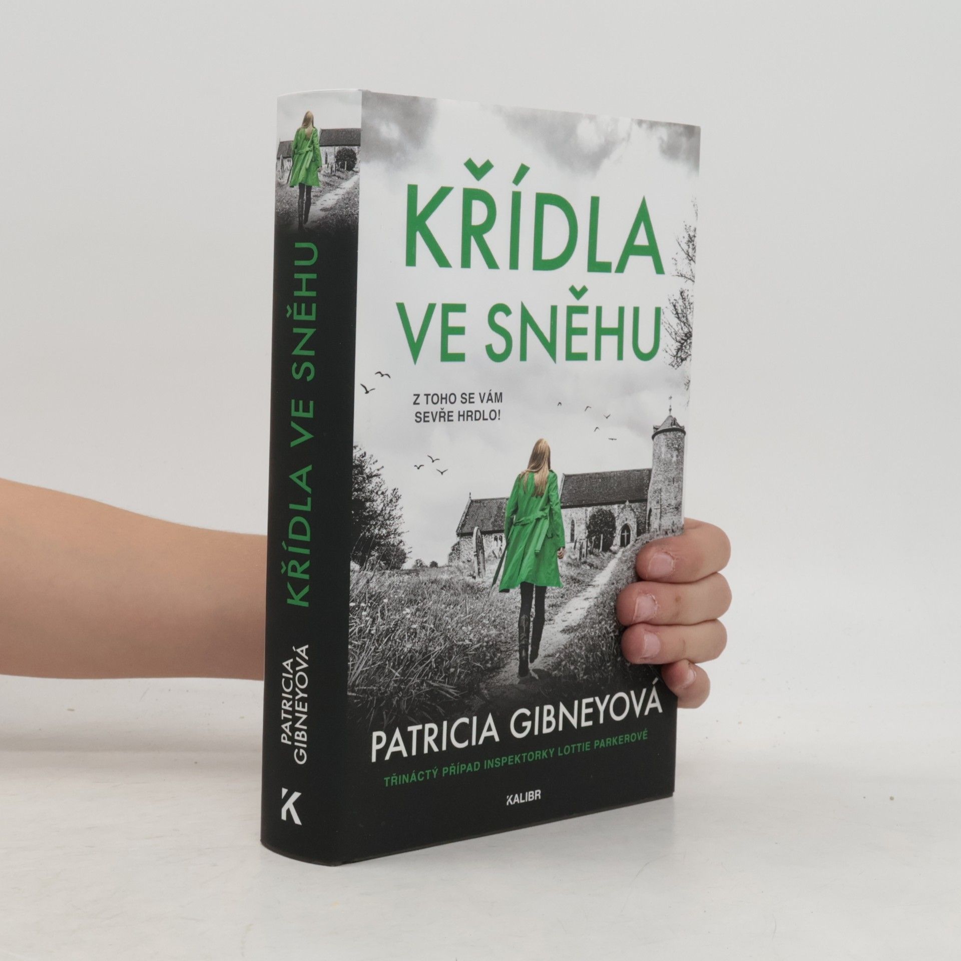 Křídla ve sněhu