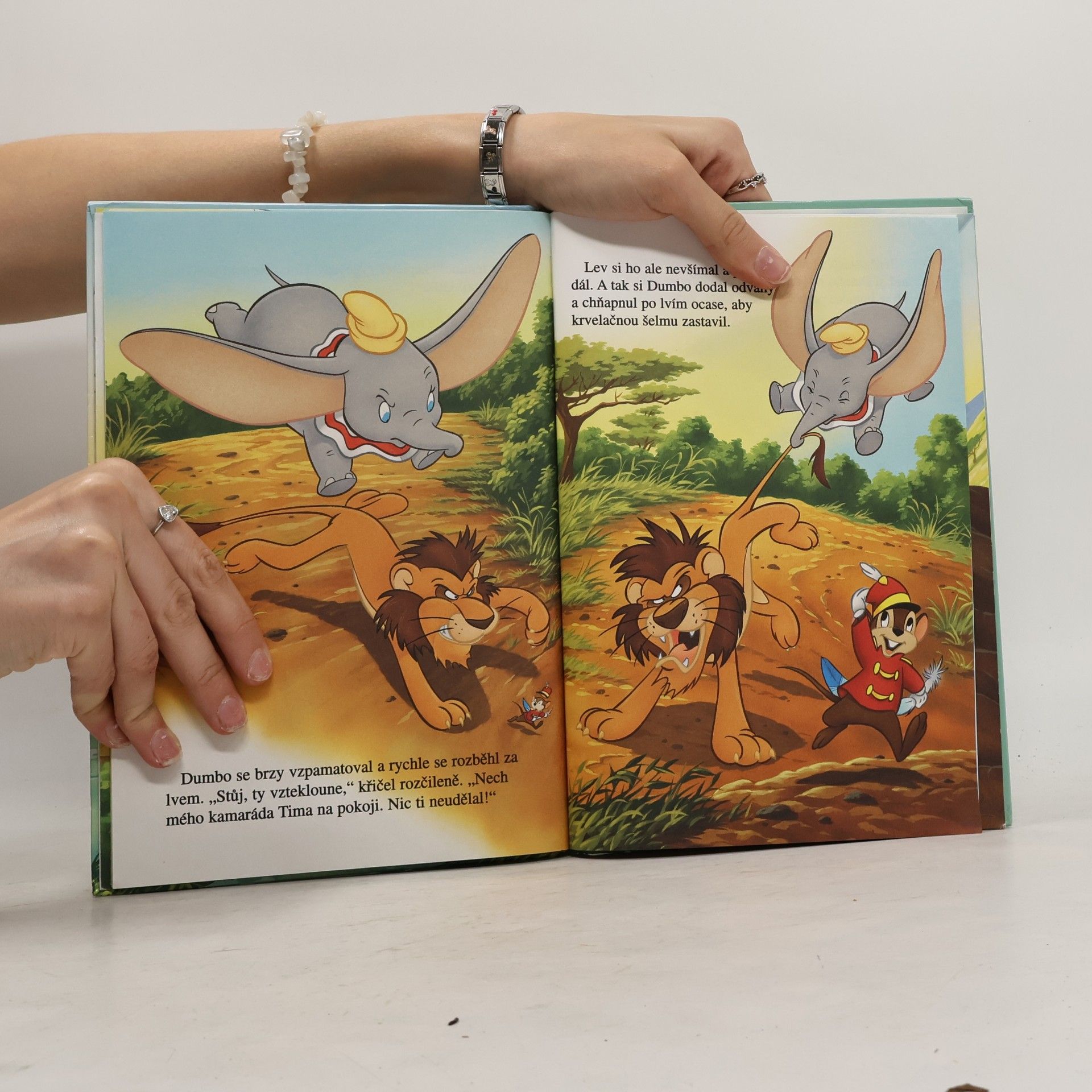 Autorenkollektiv Dumbovo africké dobrodružství