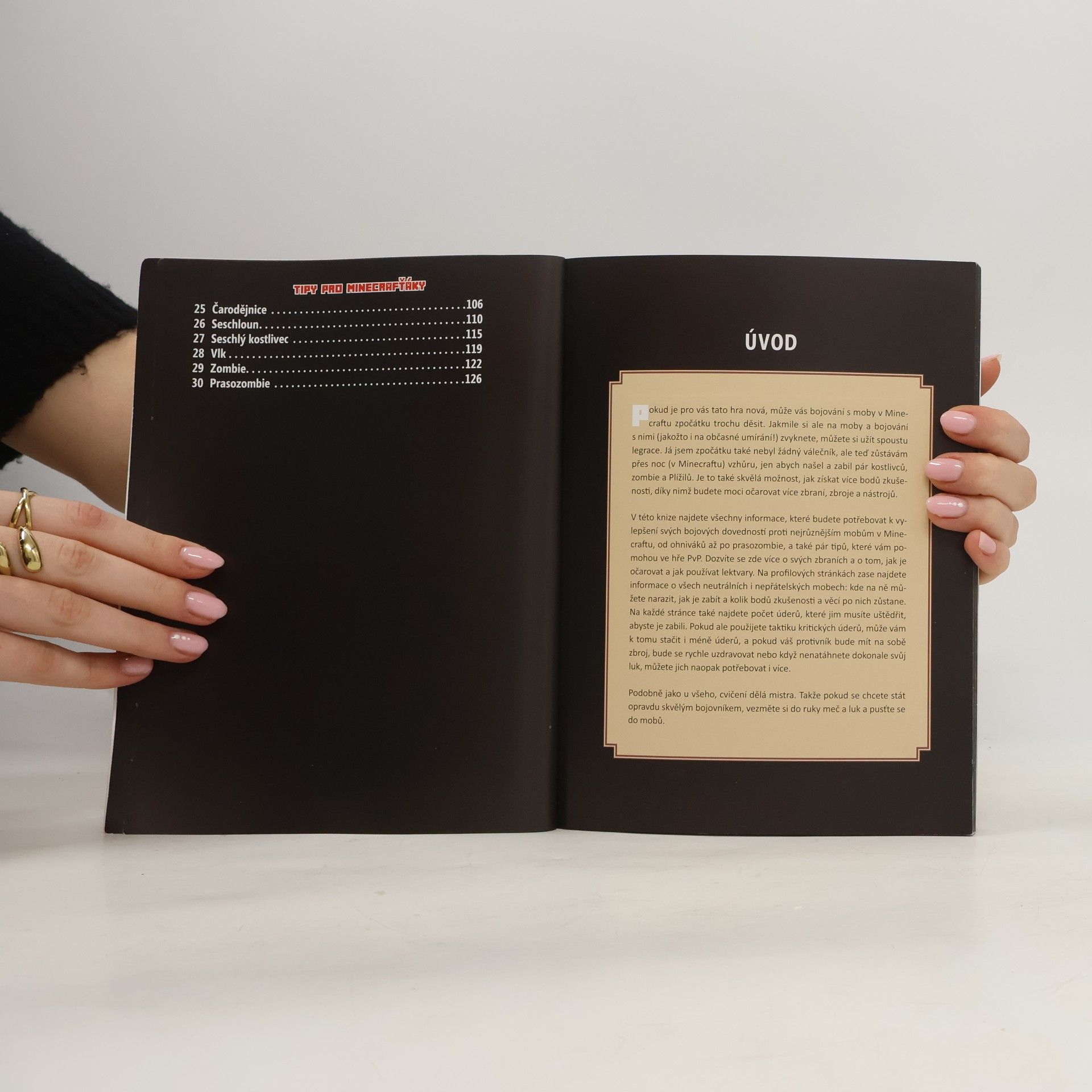 Megan Miller Tajné triky pro Minecrafťáky: Bojová škola