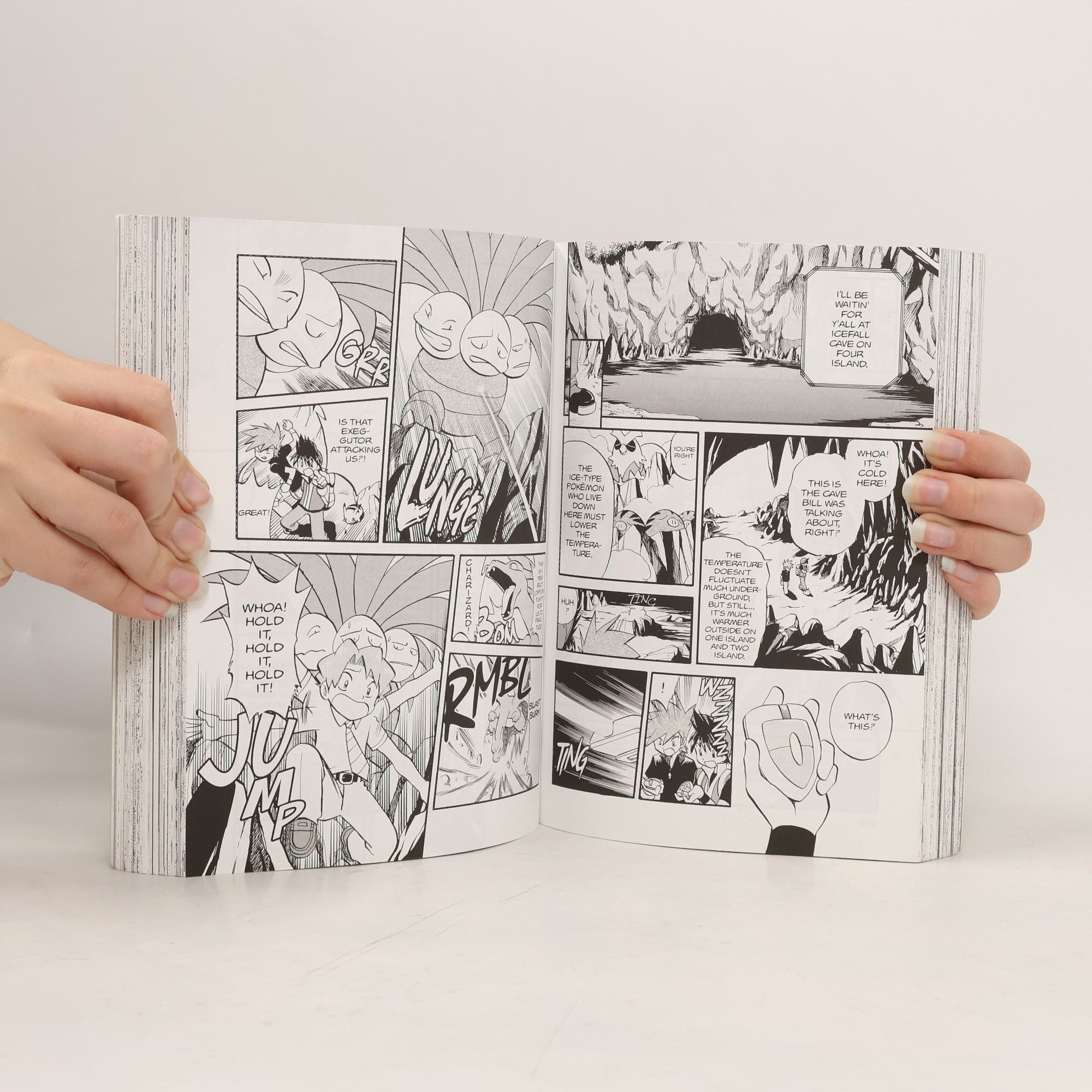 Hidenori Kusaka Pokemon Adventures Collector's Edition, Vol. 8