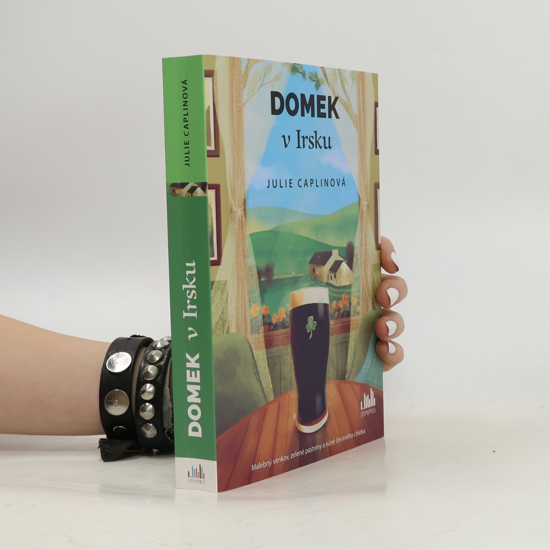 Julie Caplin Domek v Irsku