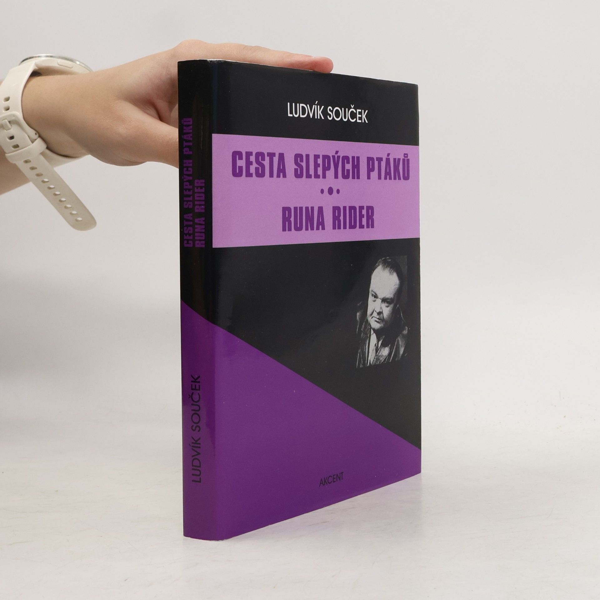 Ludvík Souček Cesta slepých ptáků / Runa rider