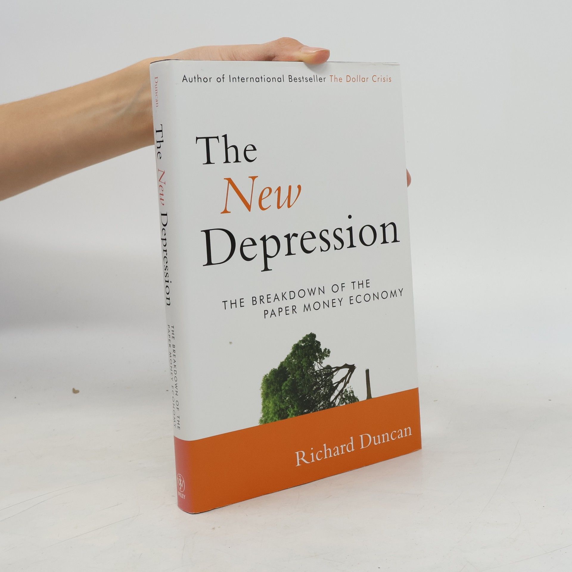 Richard Duncan The New Depression