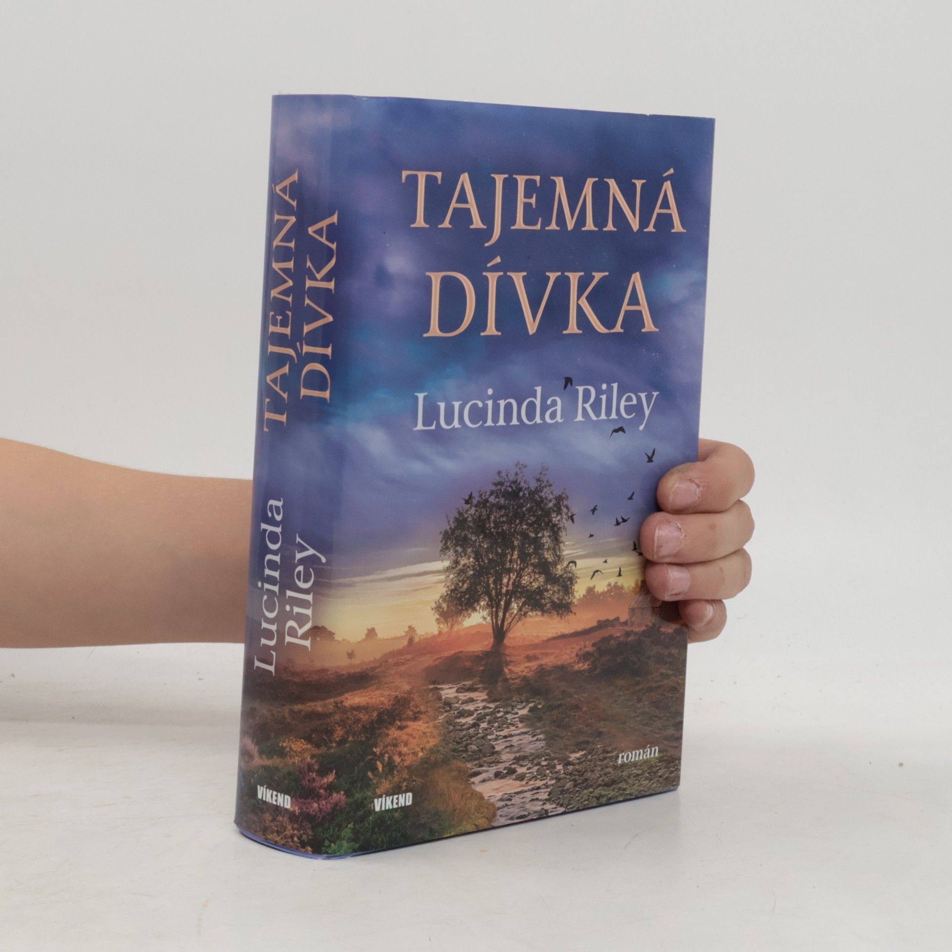 Lucinda Riley Tajemná dívka