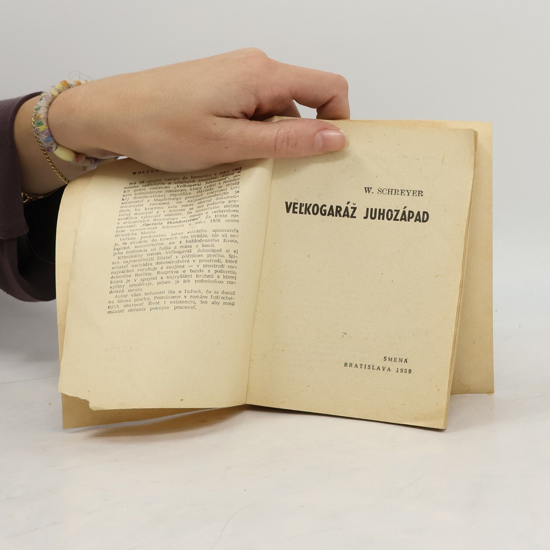 Wolfgang Schreyer Veľkogaráž juhozápad