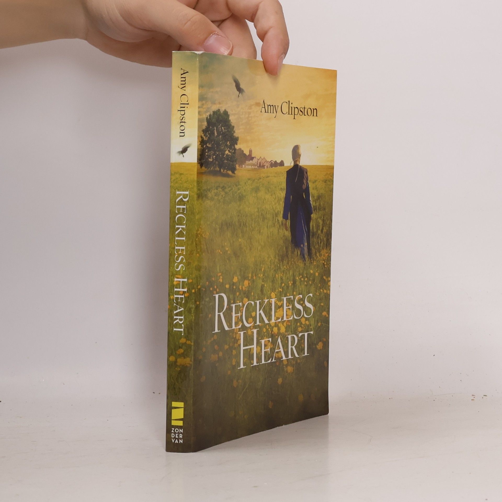 Amy Clipston Reckless Heart
