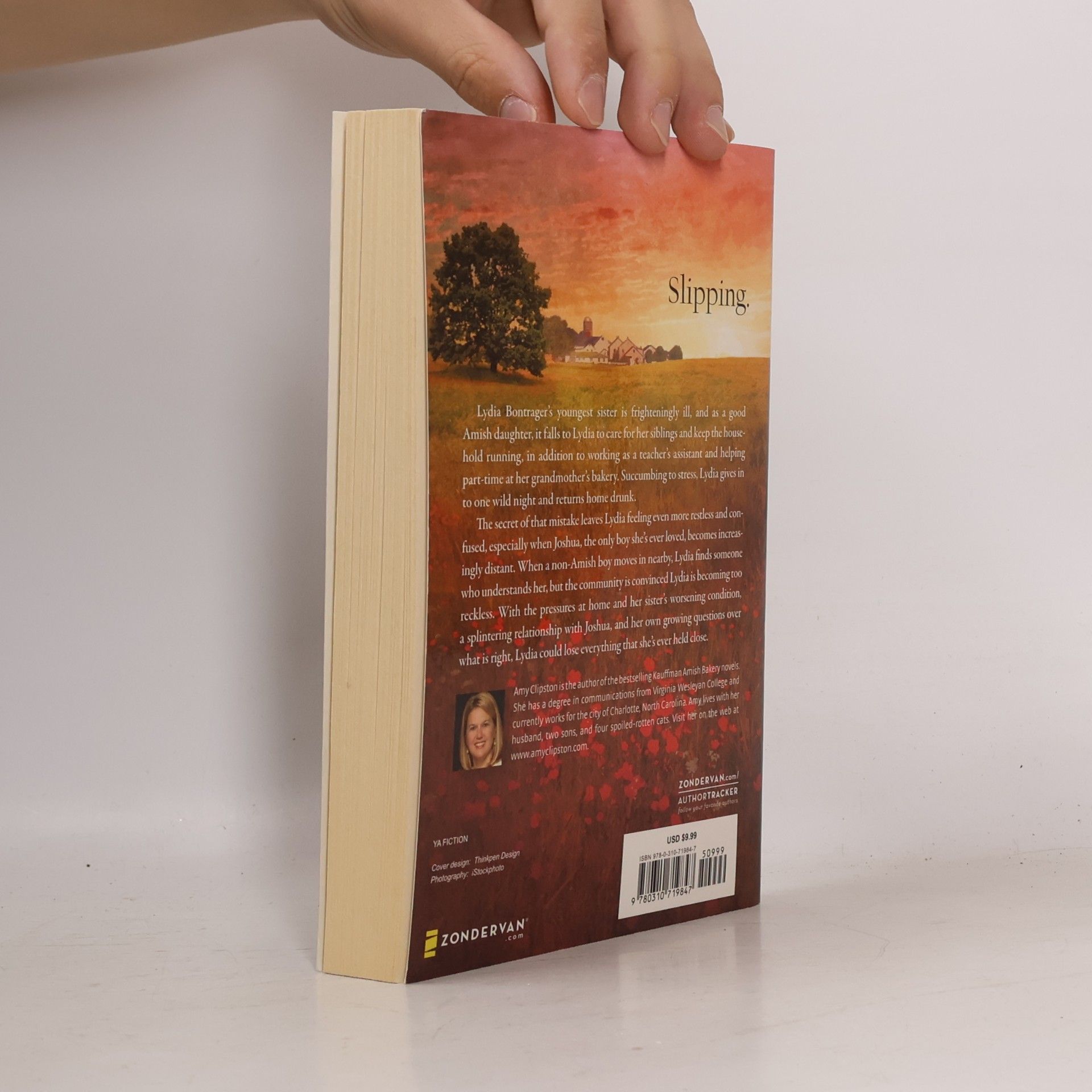 Amy Clipston Reckless Heart