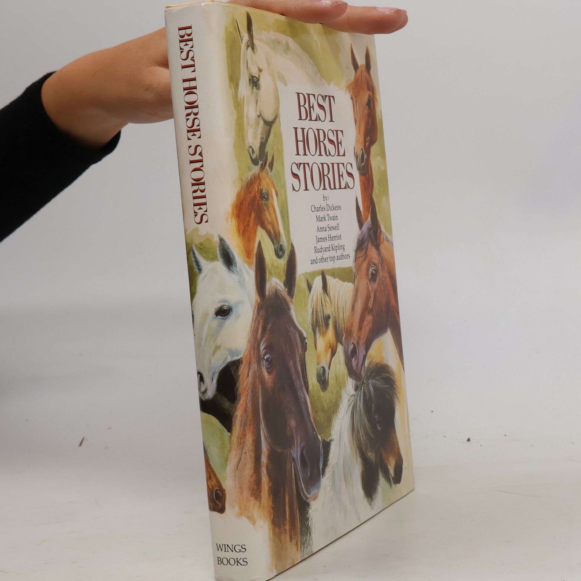 Autorenkollektiv Best Horse Stories