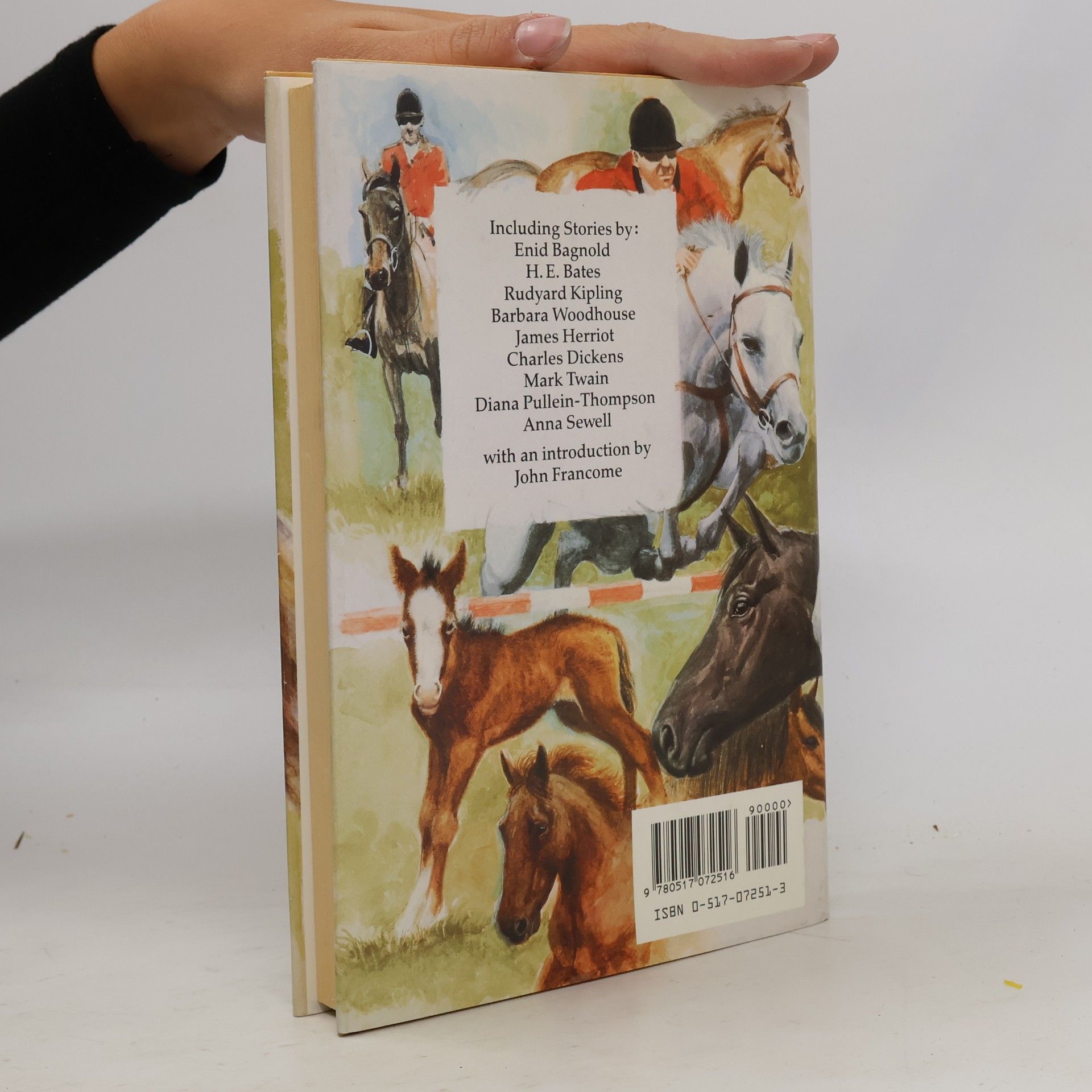 Autorenkollektiv Best Horse Stories