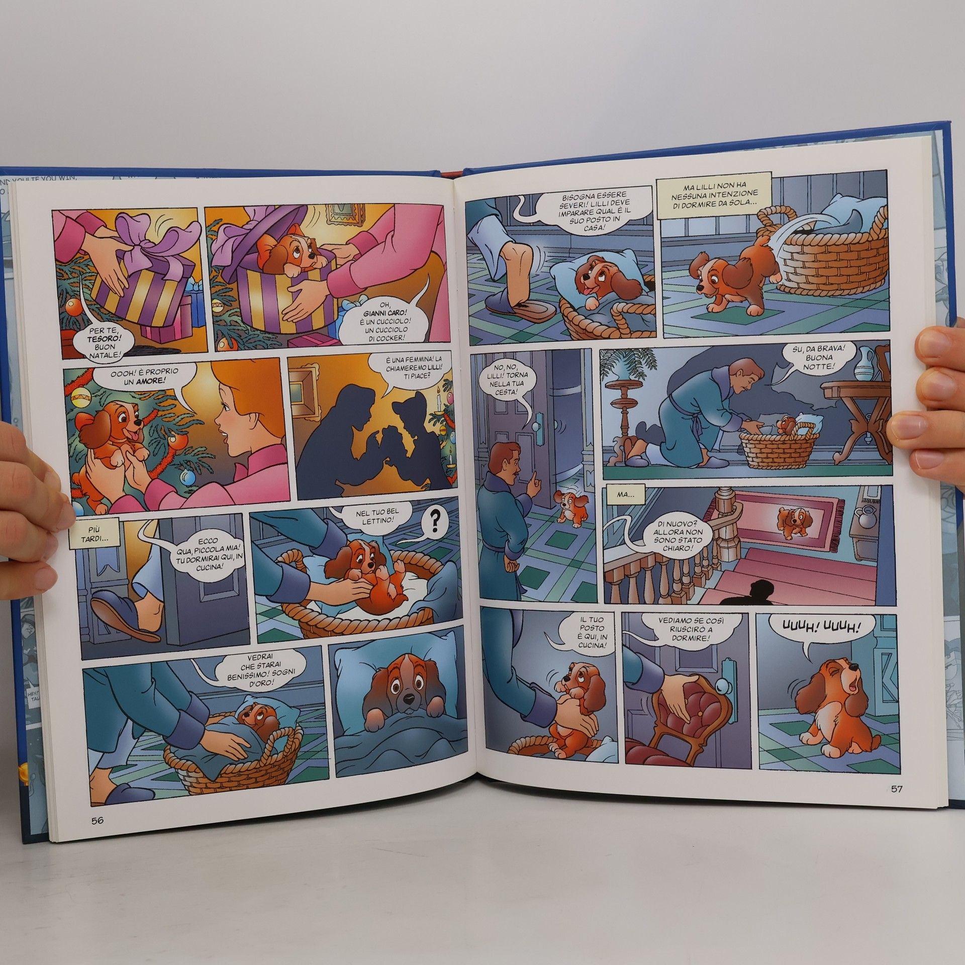 Walt Disney Aladdin - lilli e il vagabondo