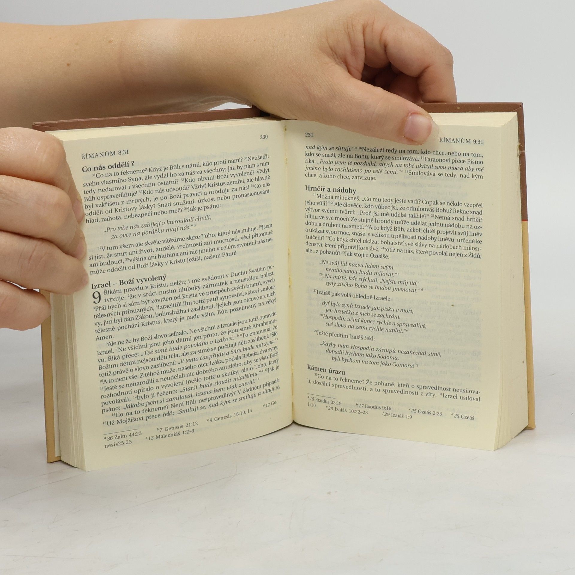 Alexandr Flek Nový zákon. Žalmy. Nová Bible kralická
